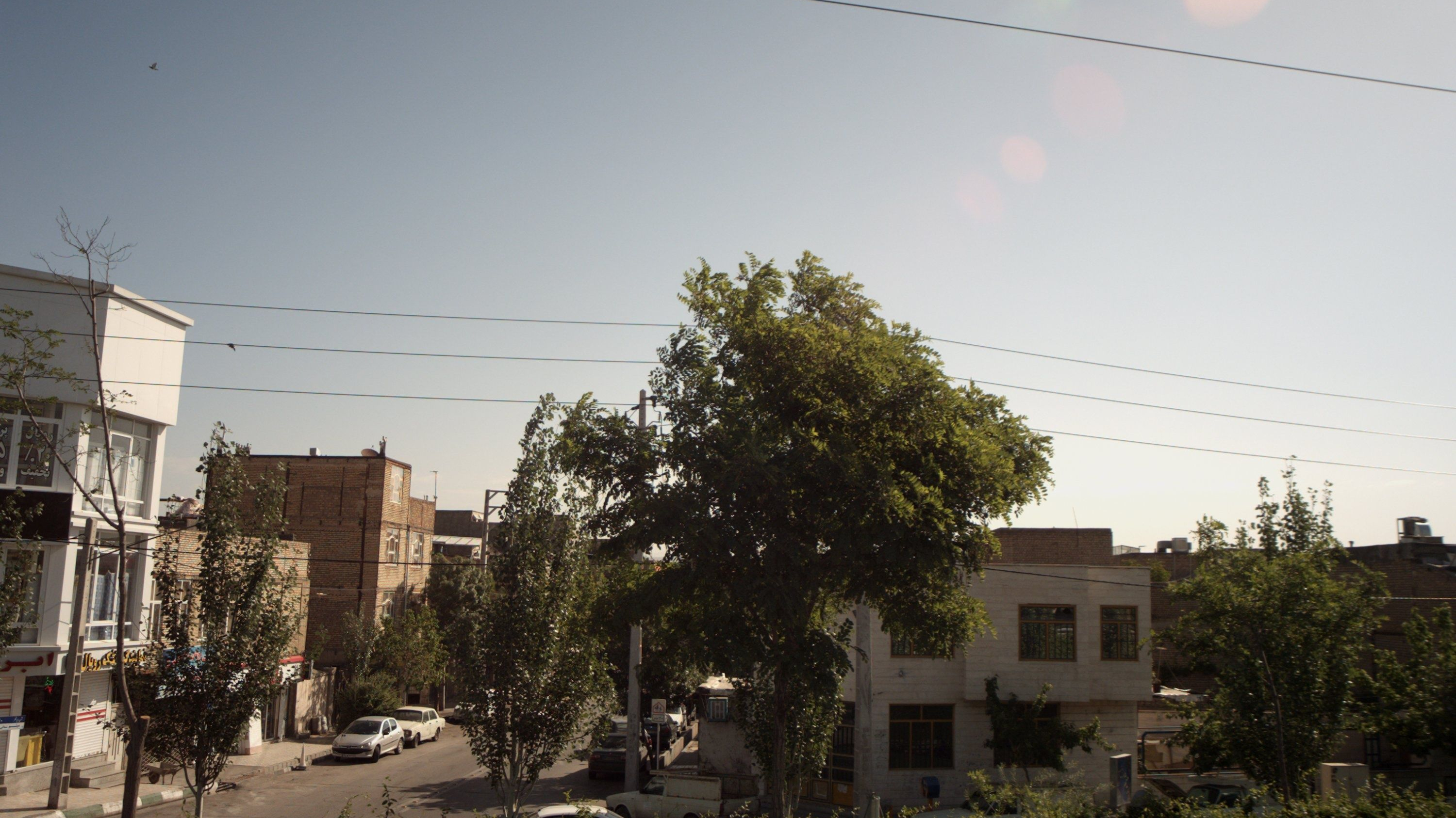 نمایندگی تشک رویال