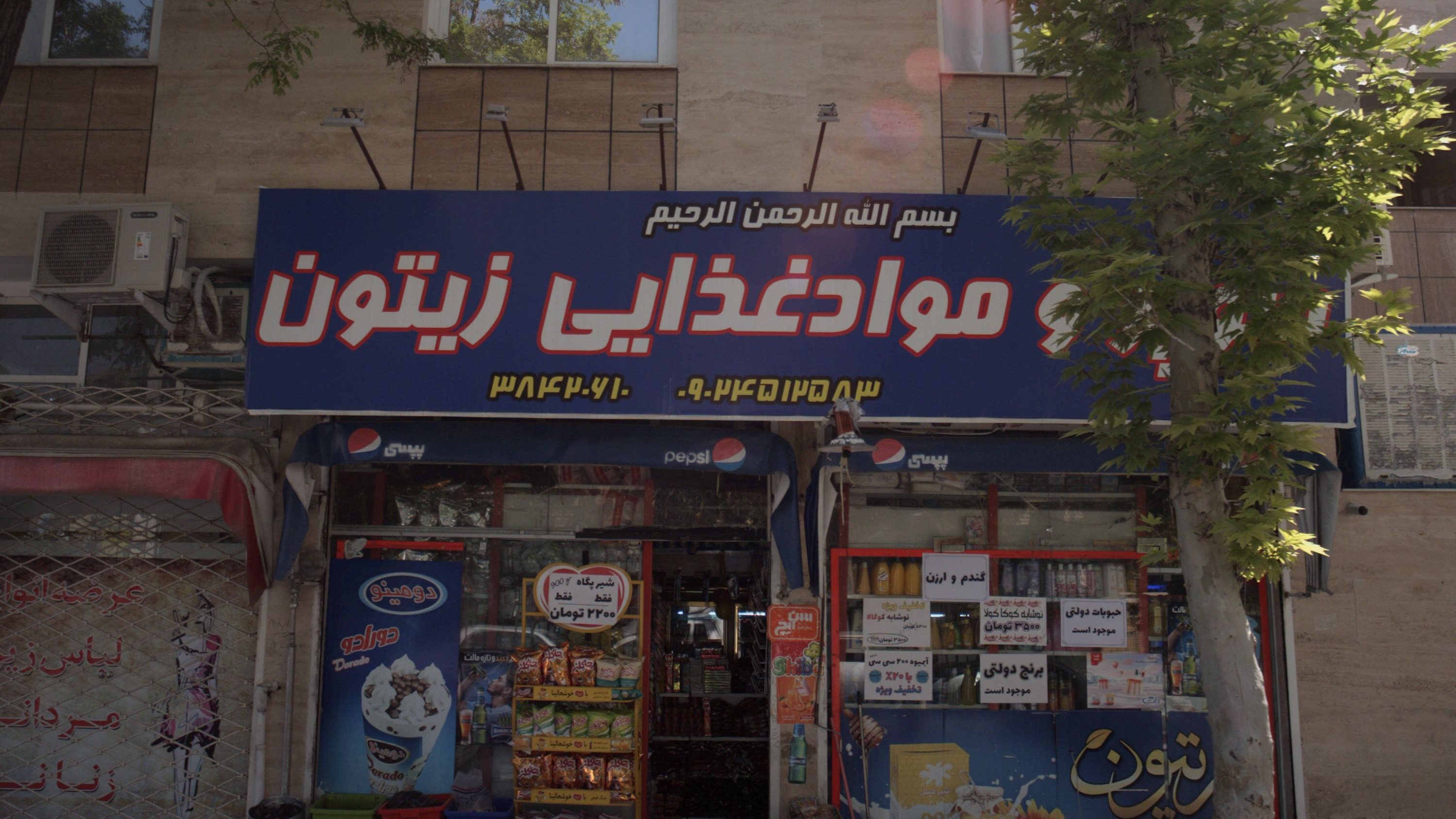 سوپر و موادغذایی زیتون