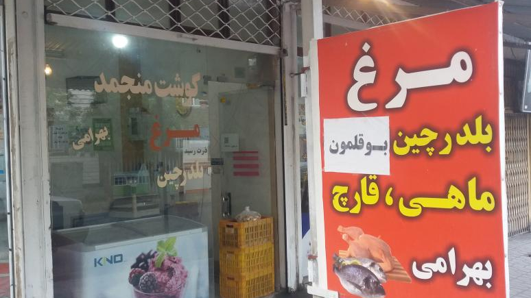 مرغ و پروتئین ازادگان