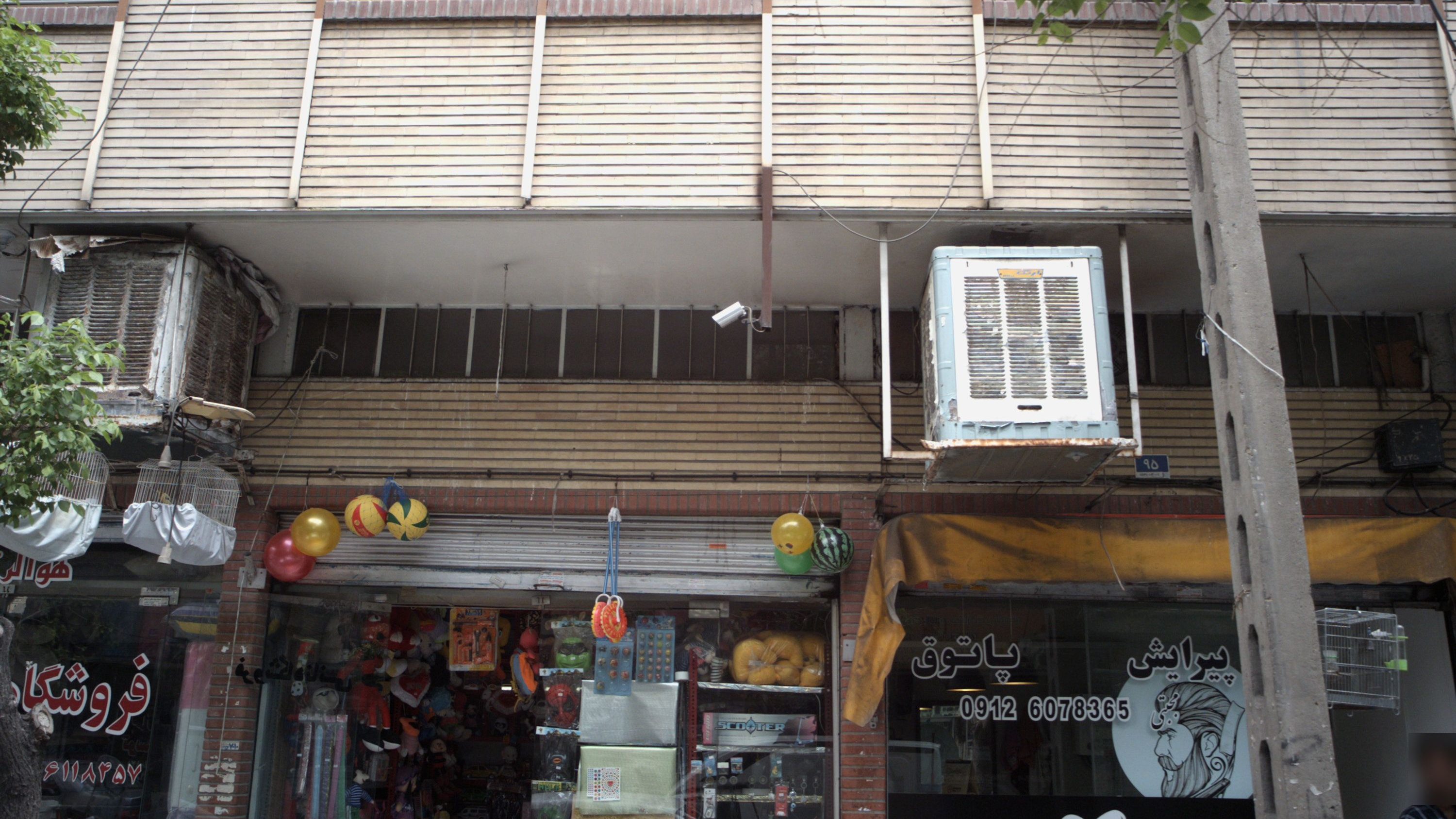 پیرایش پاتوق