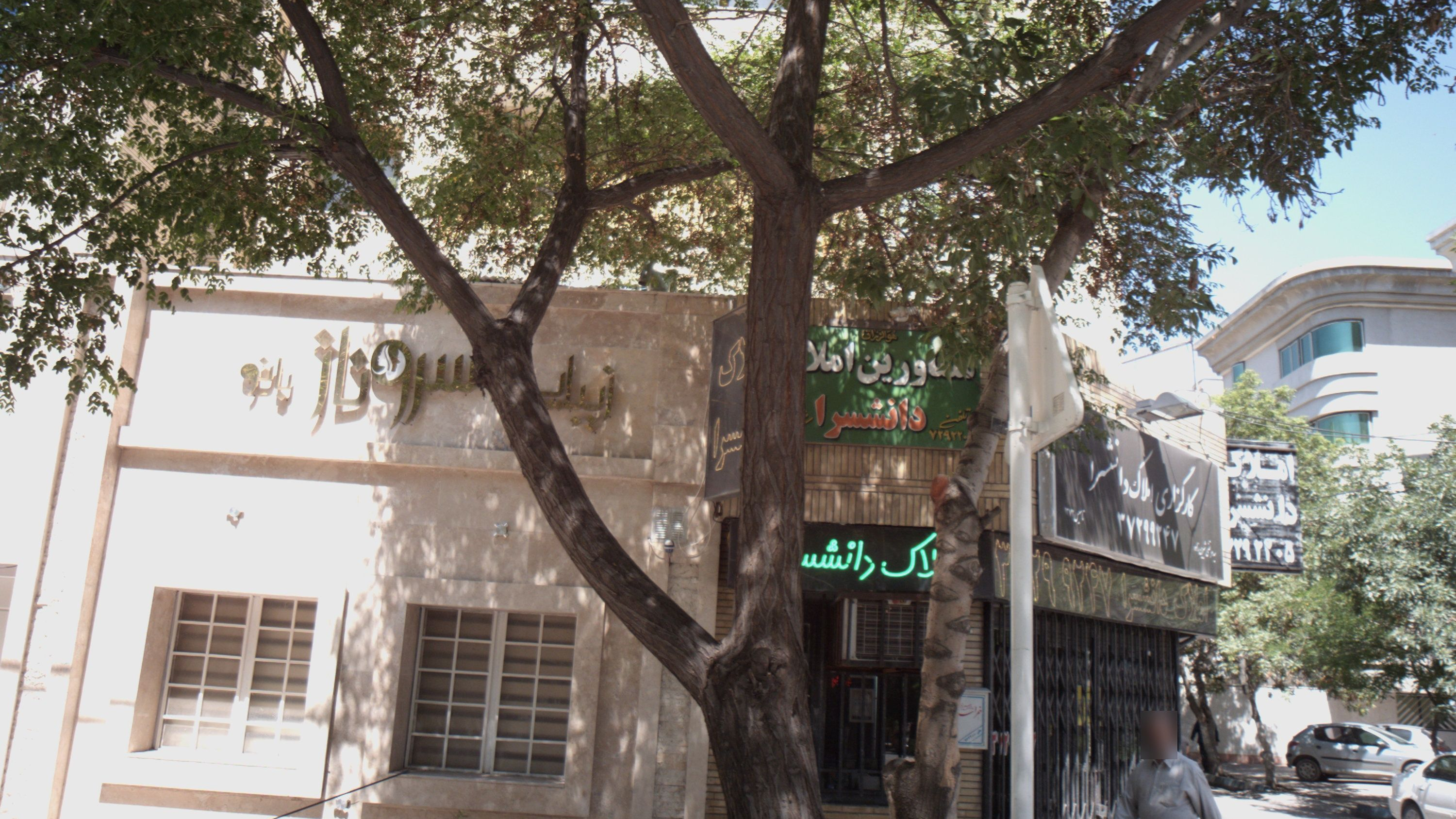 زیبایی سرو ناز بانو