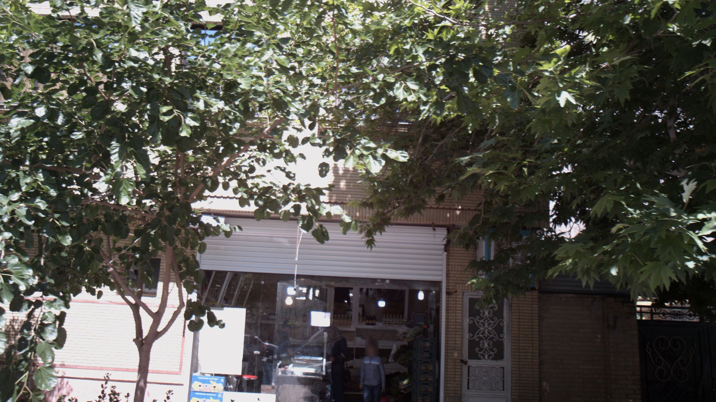 سوپر میوه