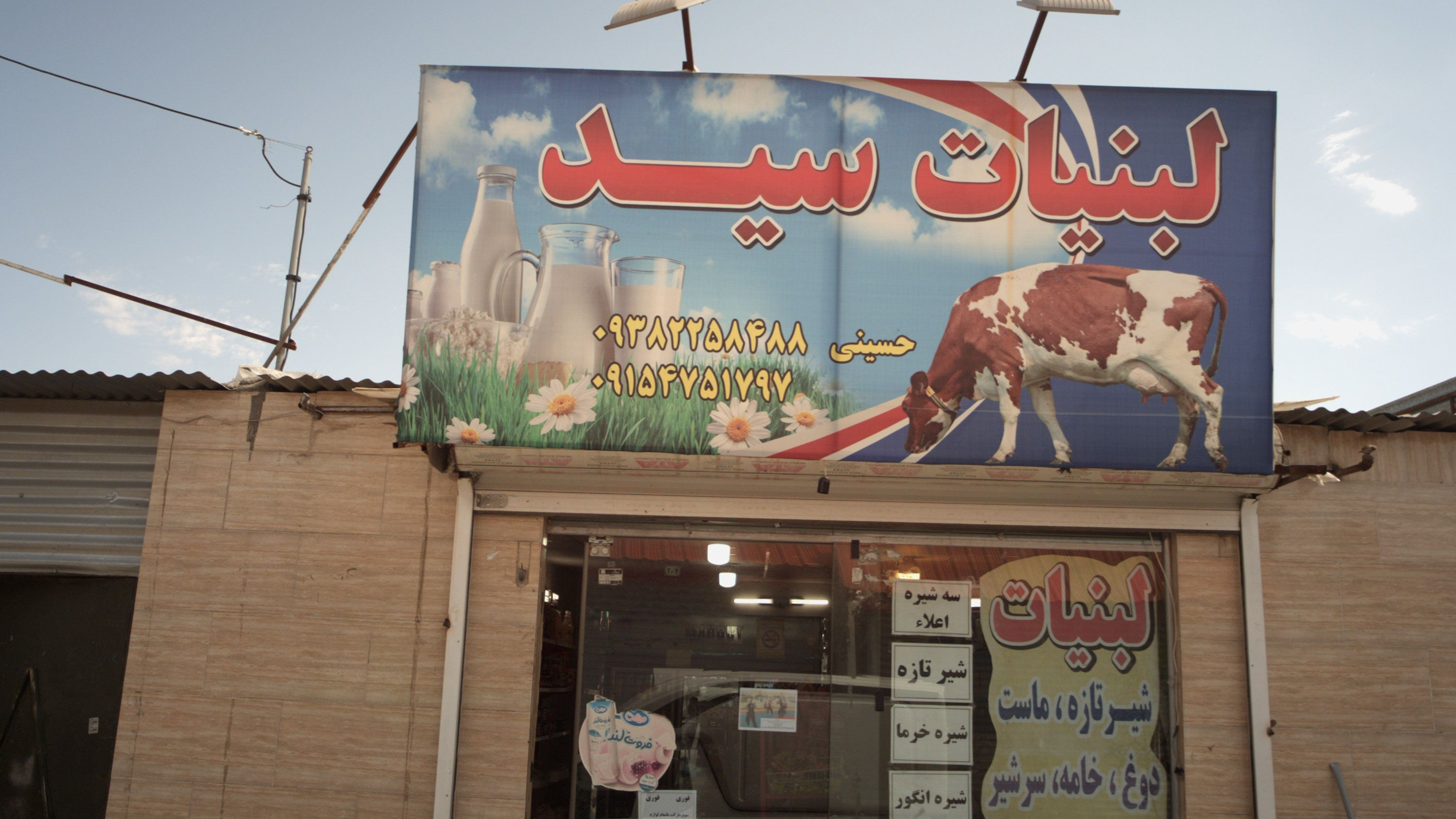 لبنیات سید