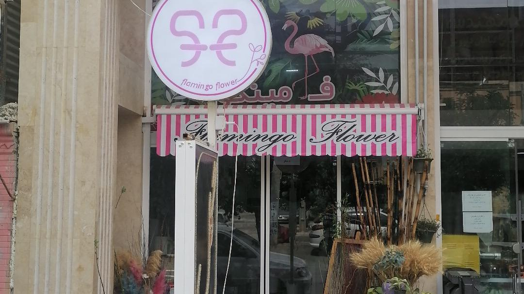 گل فلامینگو
