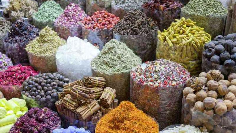 گیاهان دارویی ایران زمین