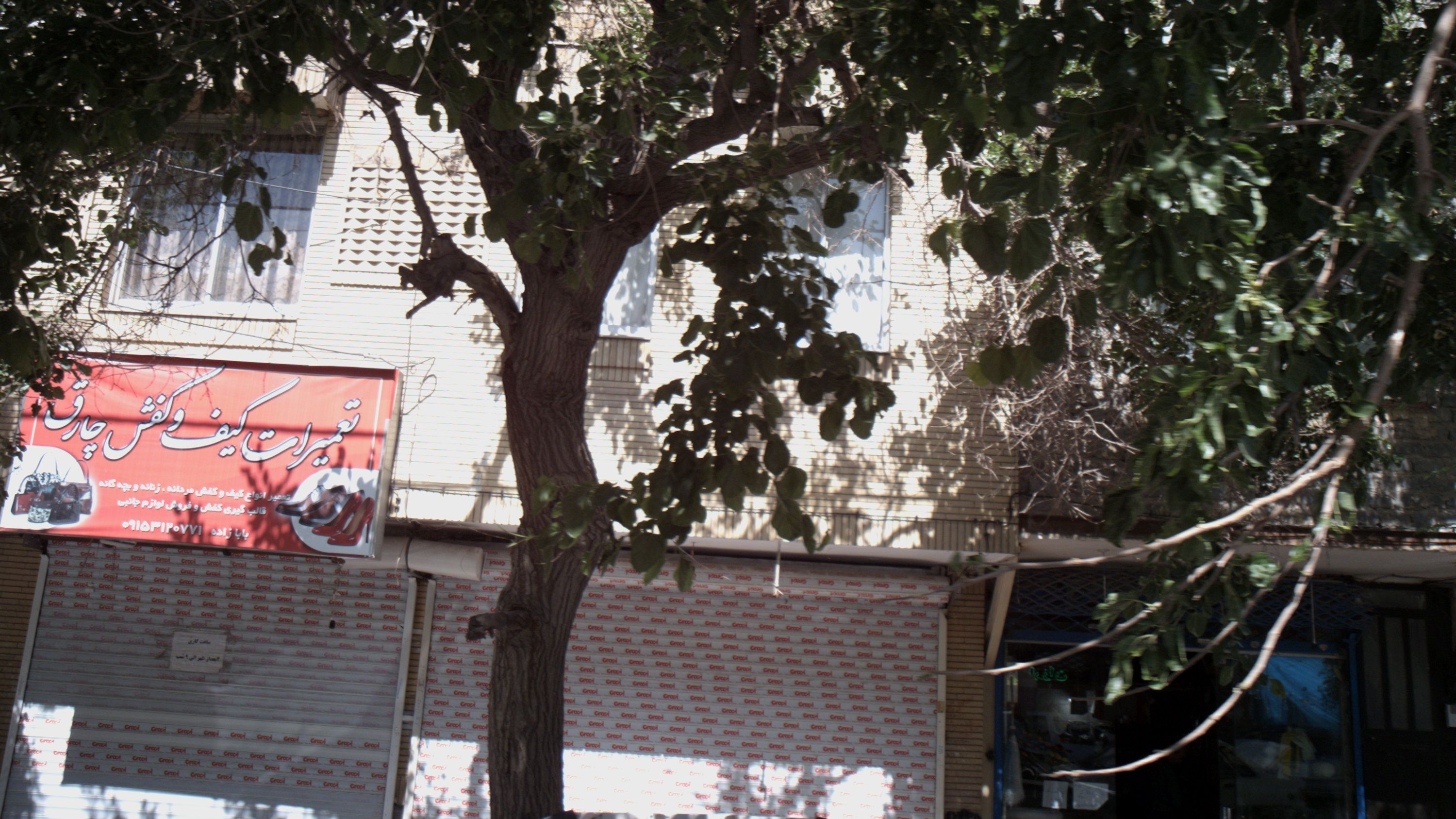 میوه فروشی