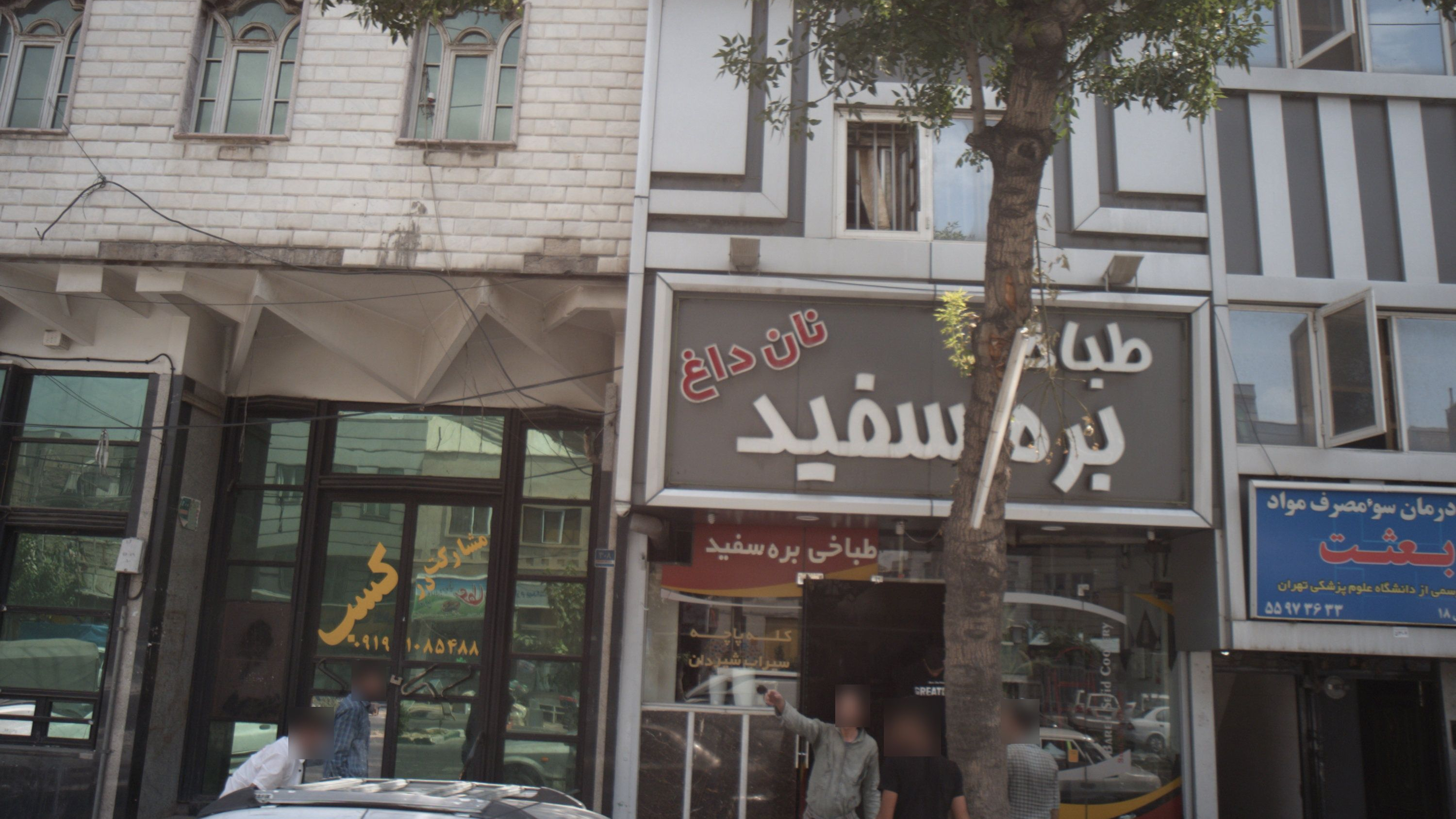 طباخی بره سفید