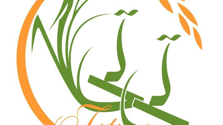 برنج یگانه (تی تی)