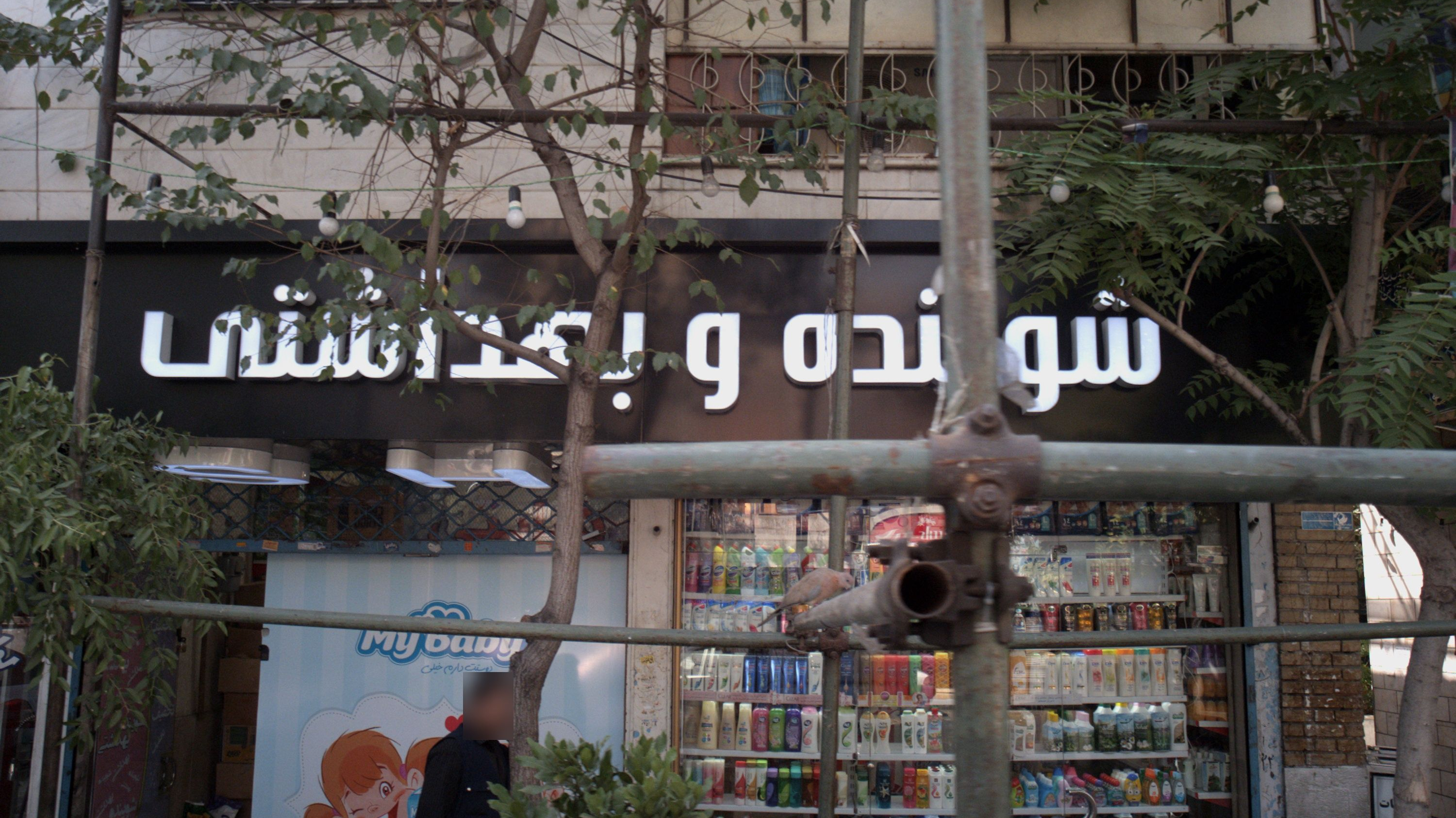 شوینده وبهداشتی