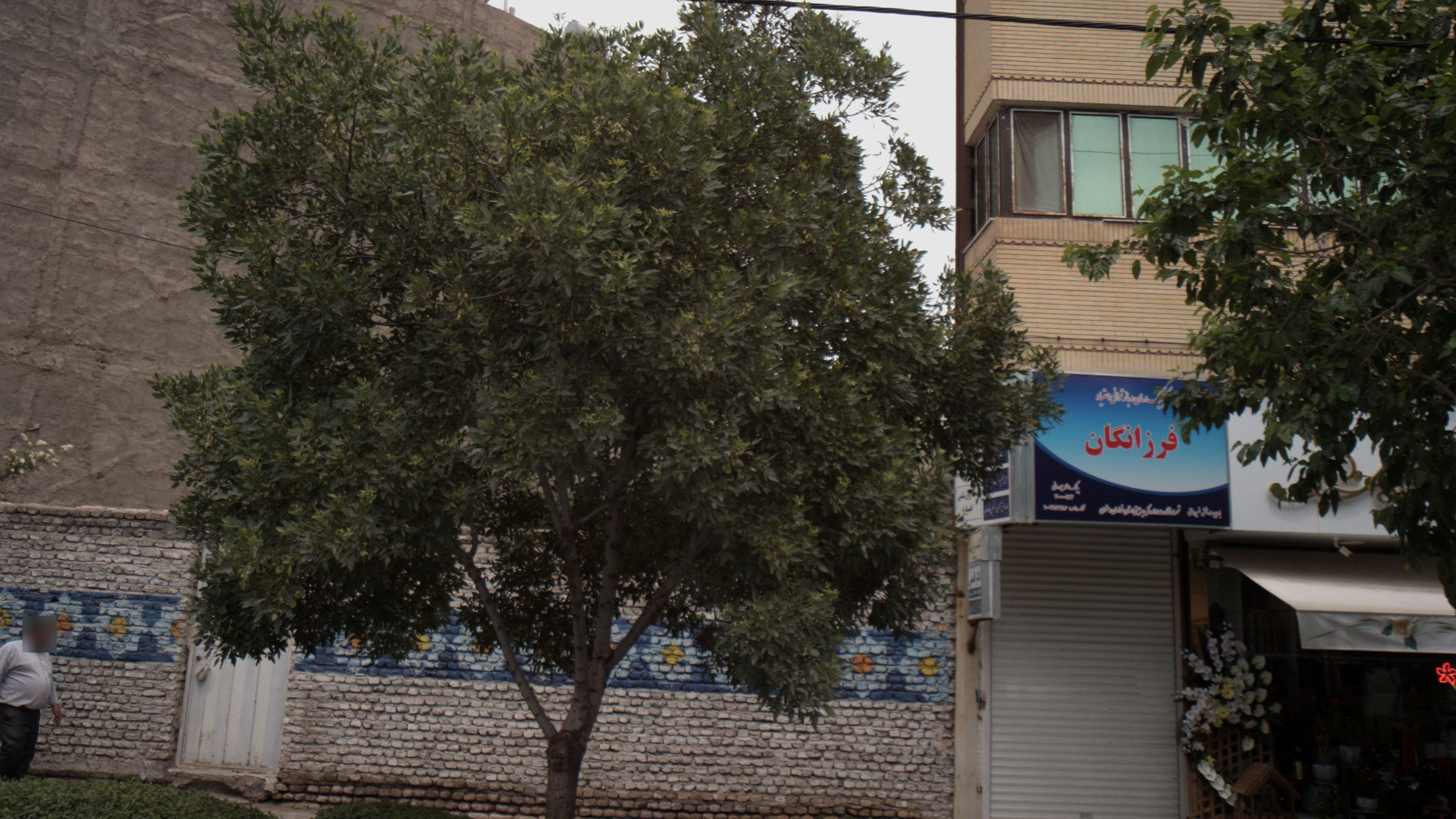 کلینیک درمان و بازتوانی اعتیاد فرزانگان