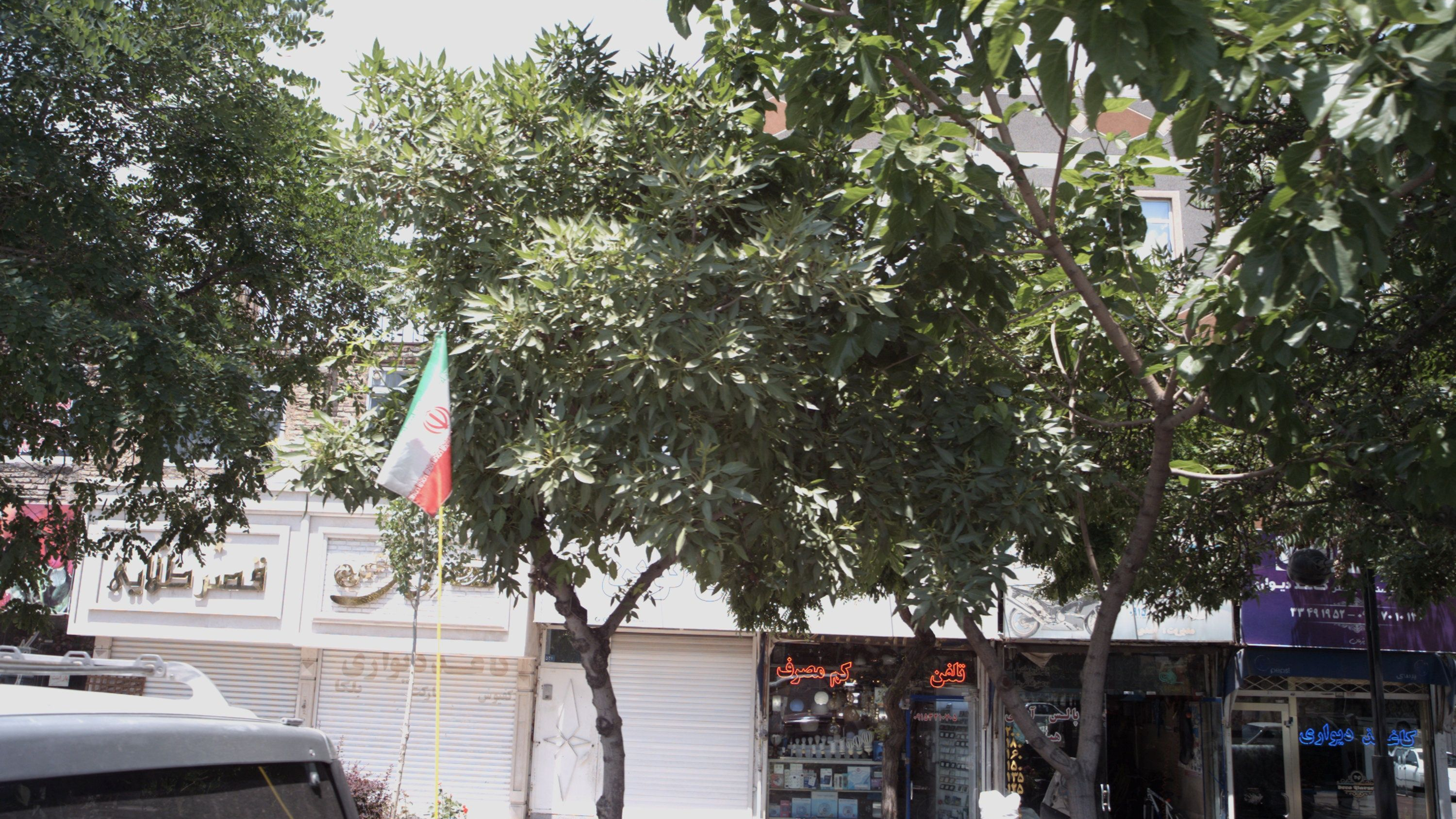 کالای برق نوین