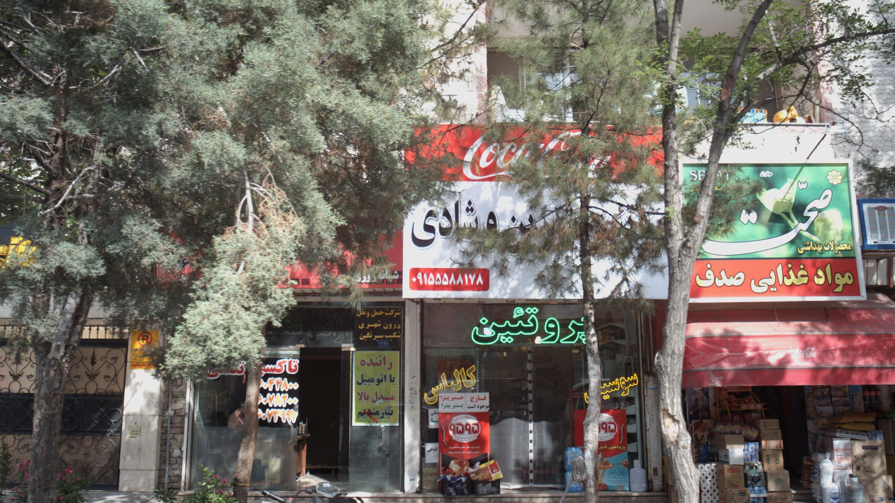 پروتئین شیرین وشادی