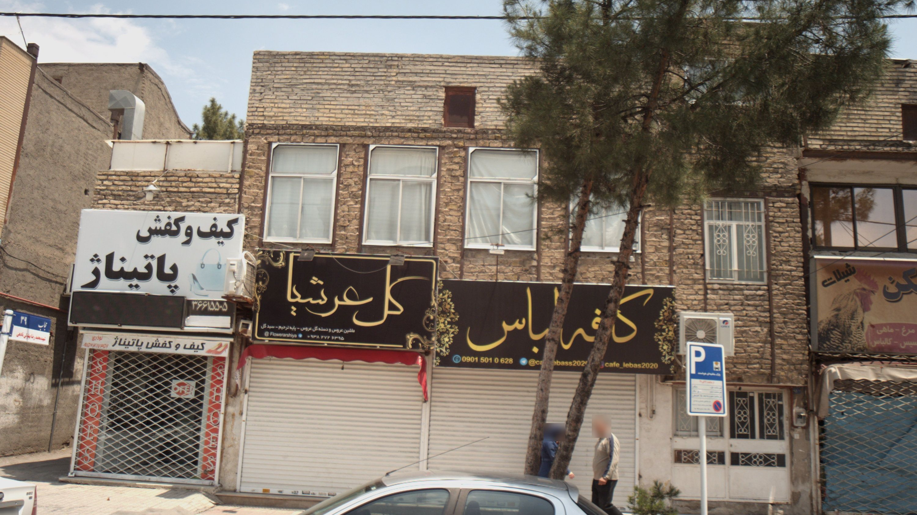 گل عرشیا