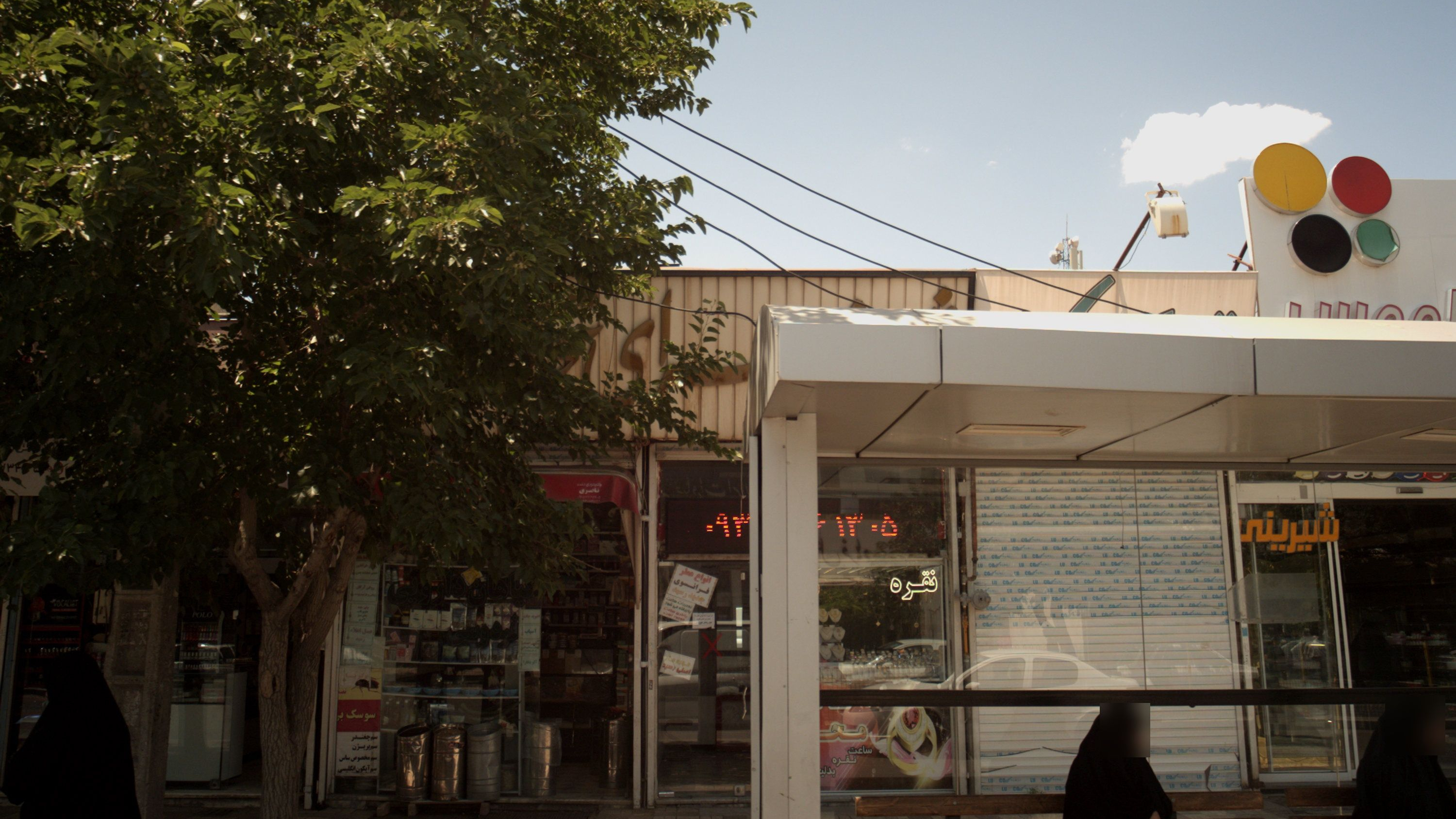 گیاهان دارویی فردوسی