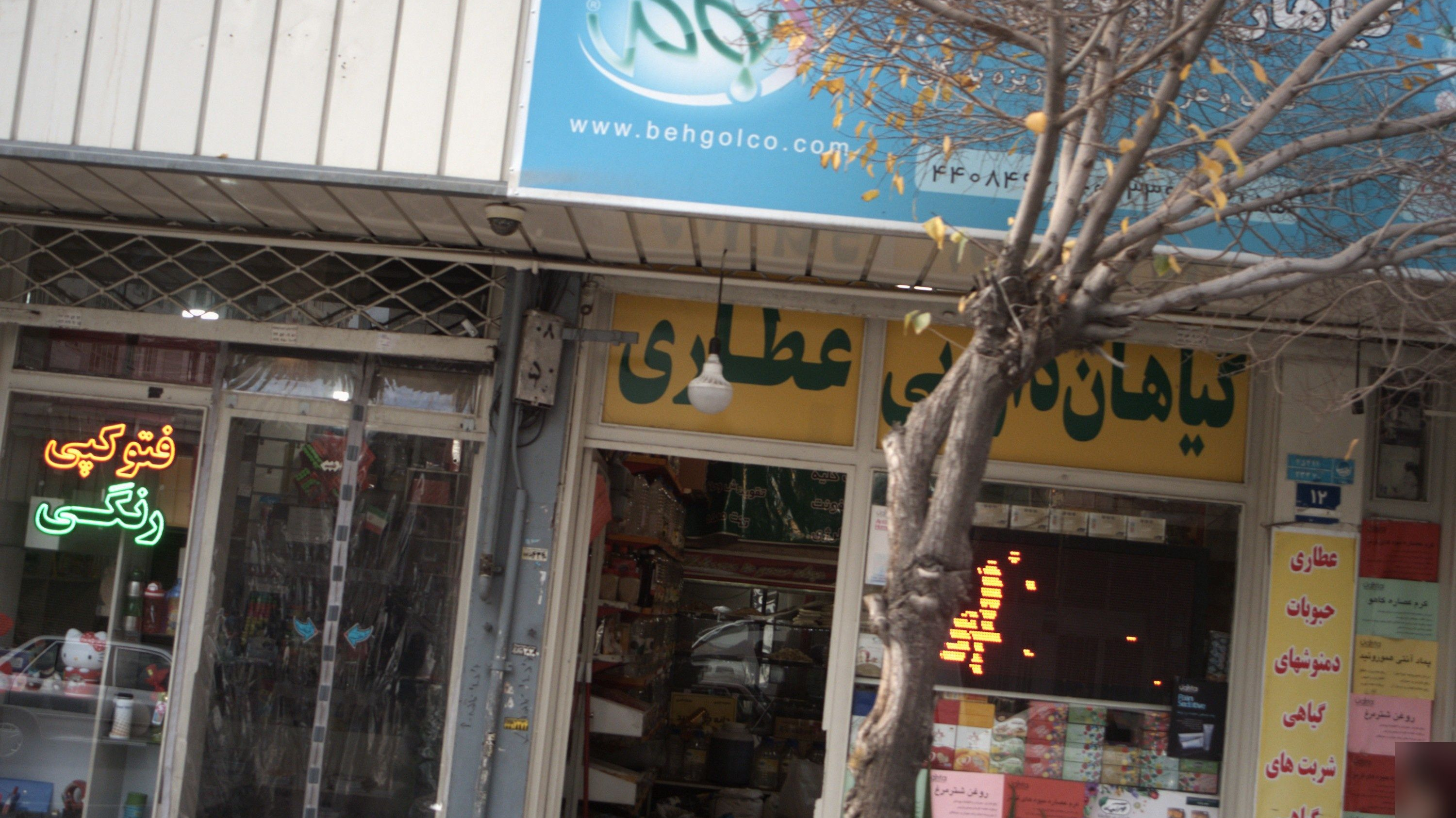 گیاهان دارویی مهران