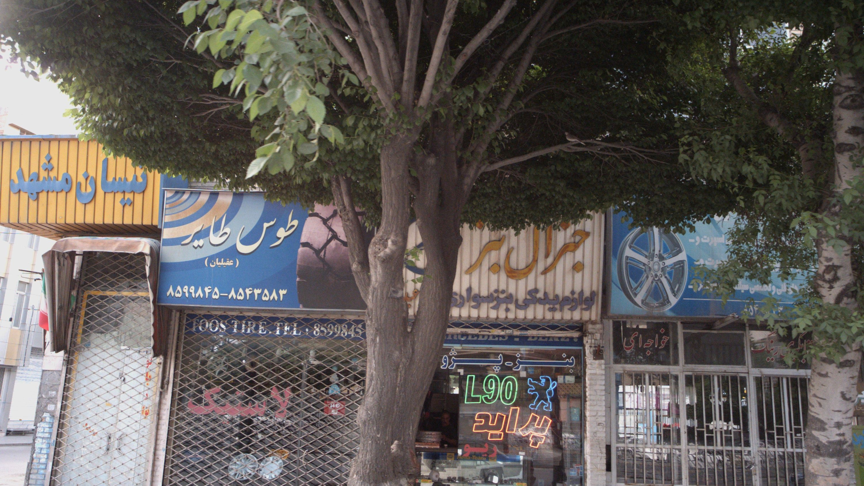 جنرال بنز