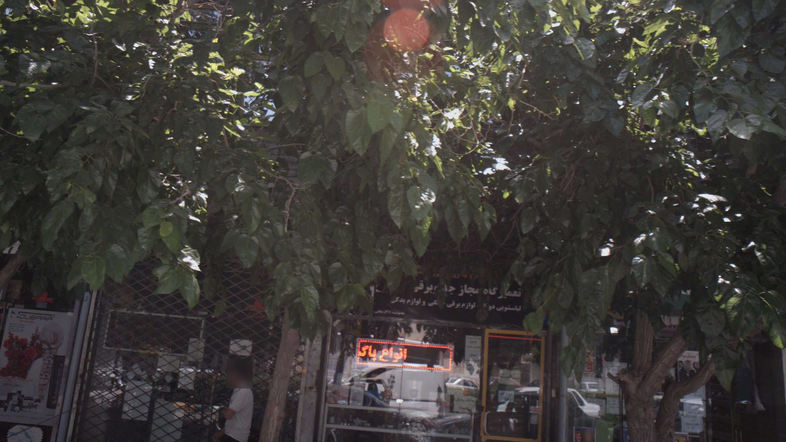 تعمیرگاه مجاز جارو برقی