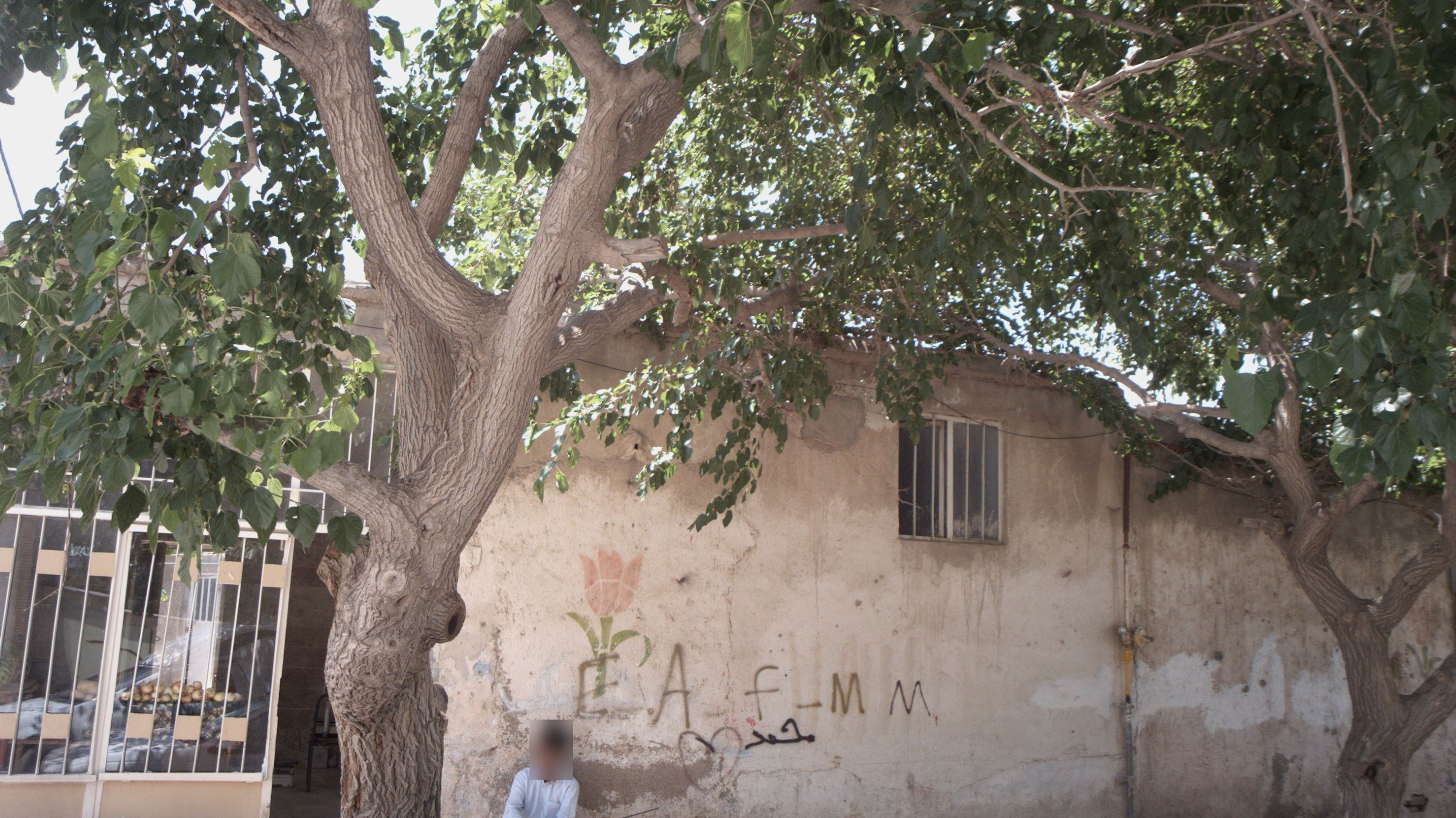 میوه فروشی