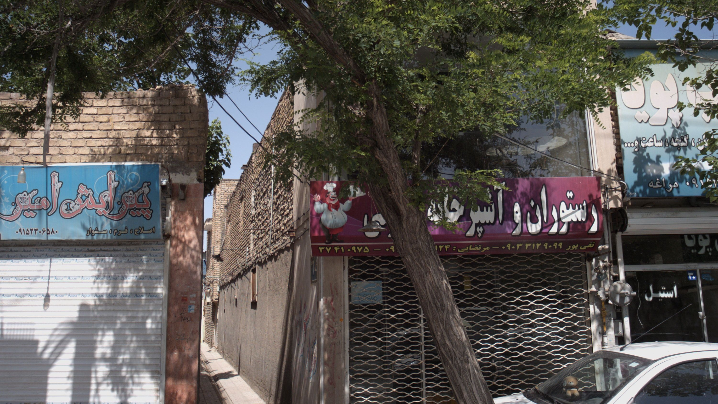 پیرایش امیر