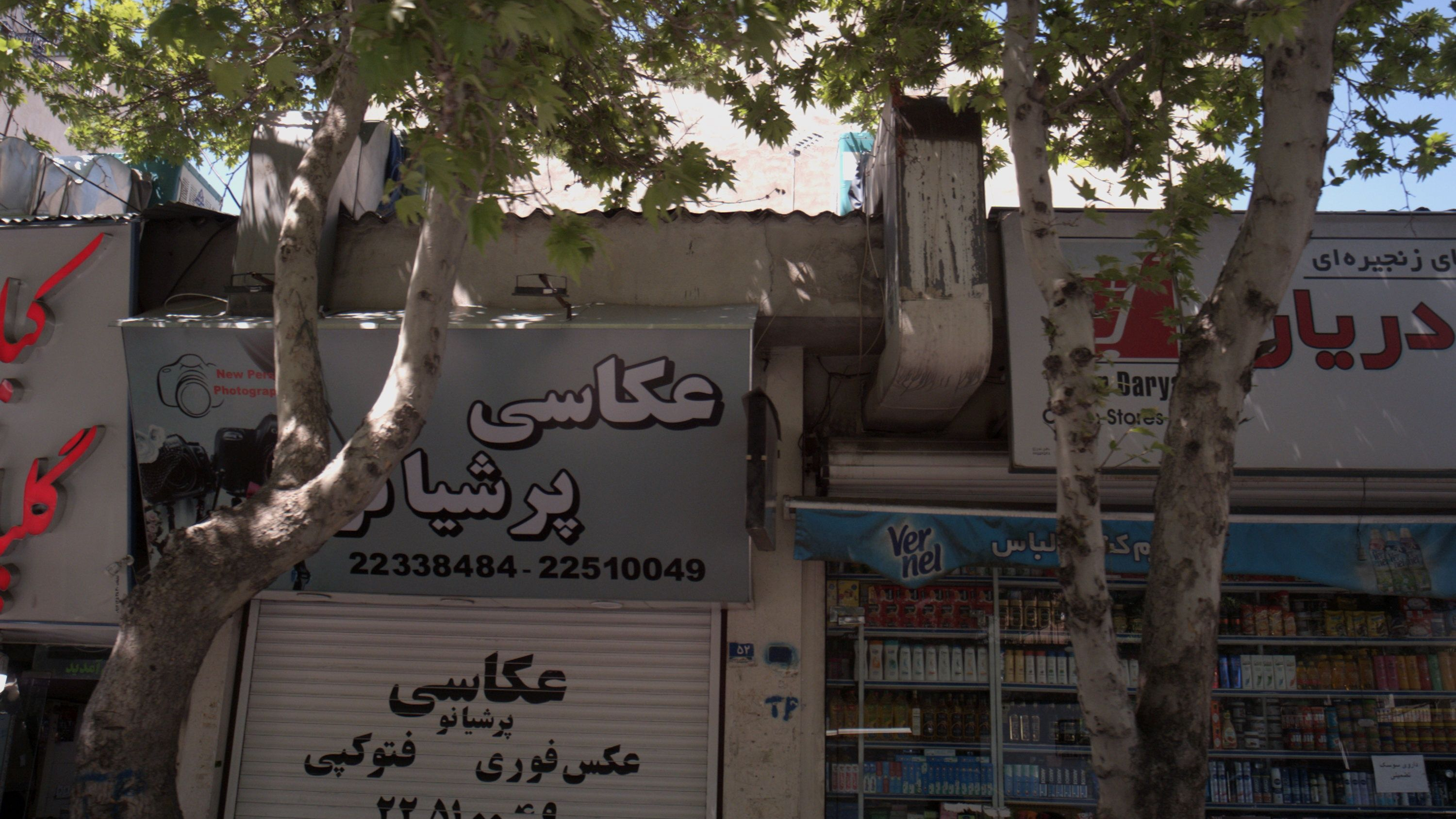 عکاسی پرشیانو