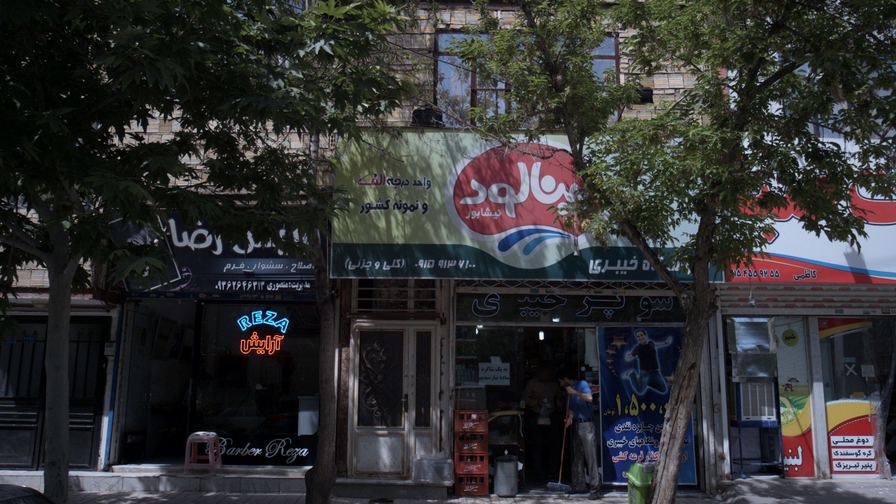 آرایش رضا