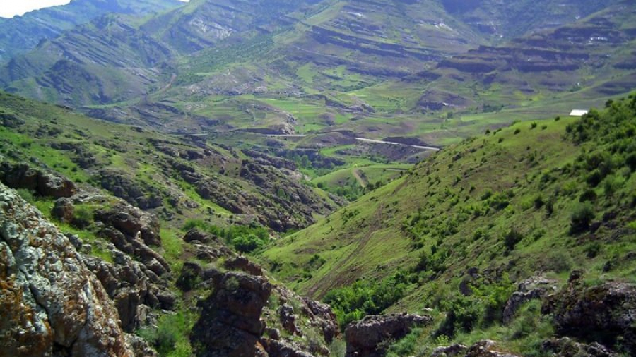 جنگل طبیعی تنباکولو