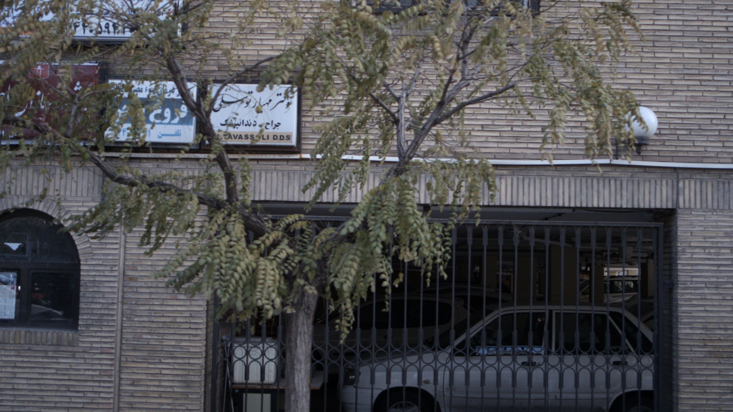 دکتر مهیار توسلی