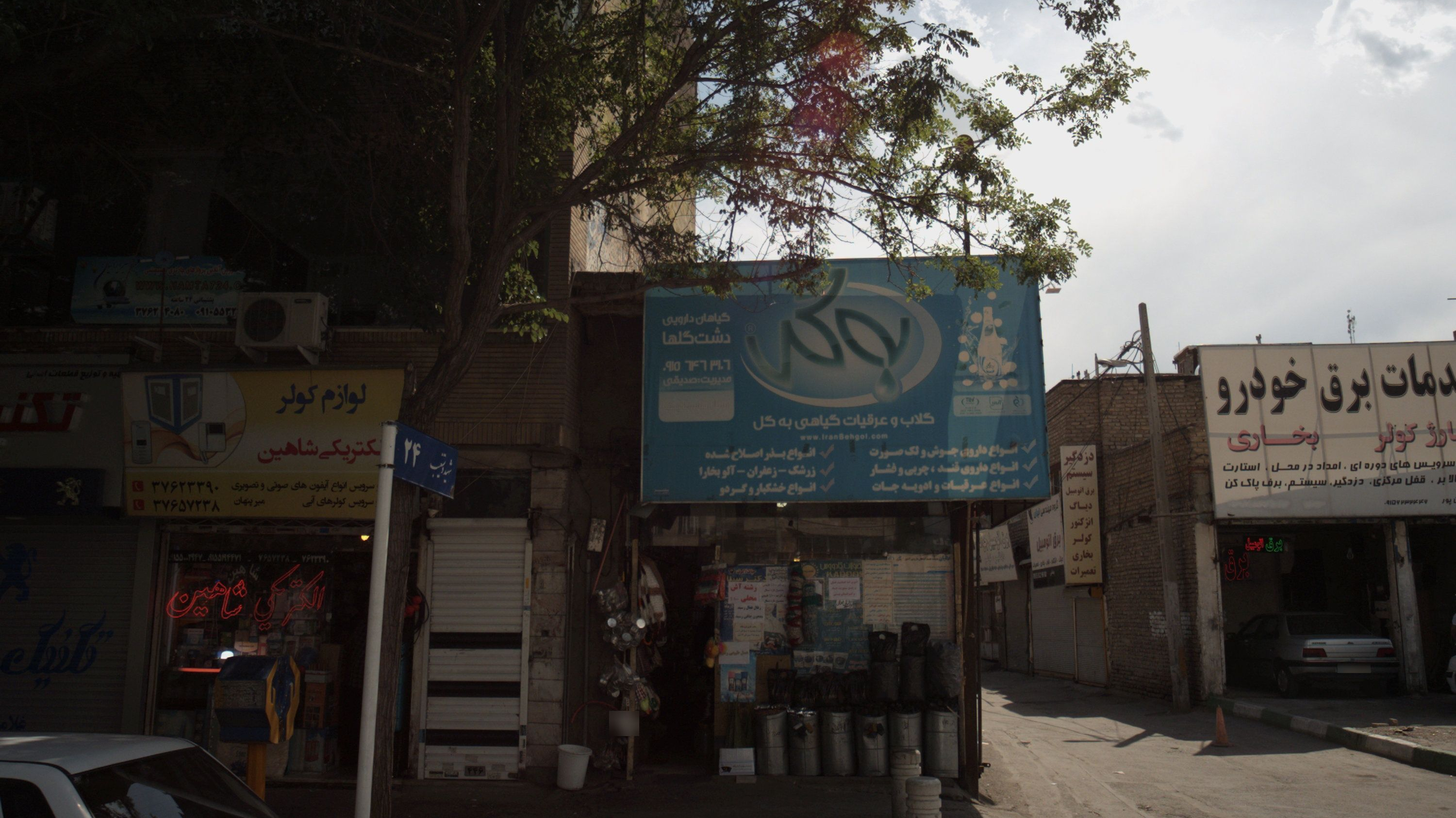 گیاهان دارویی دشت گلها