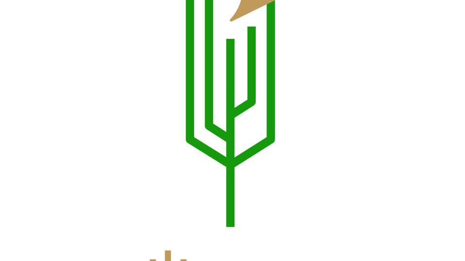 ورق سازی و کارتن سازی پارسیان سلولز سپیدار