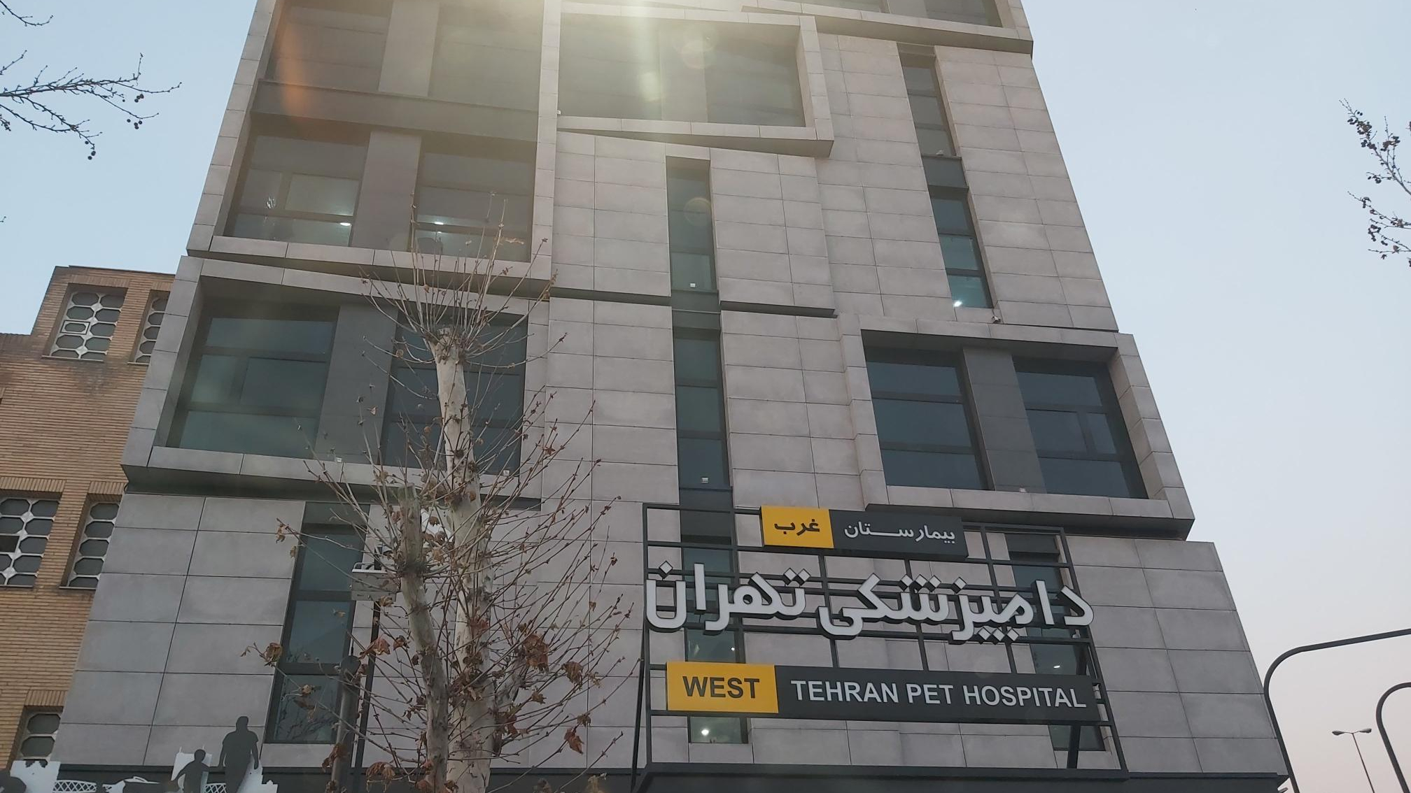 بیمارستان دامپزشکی تهران