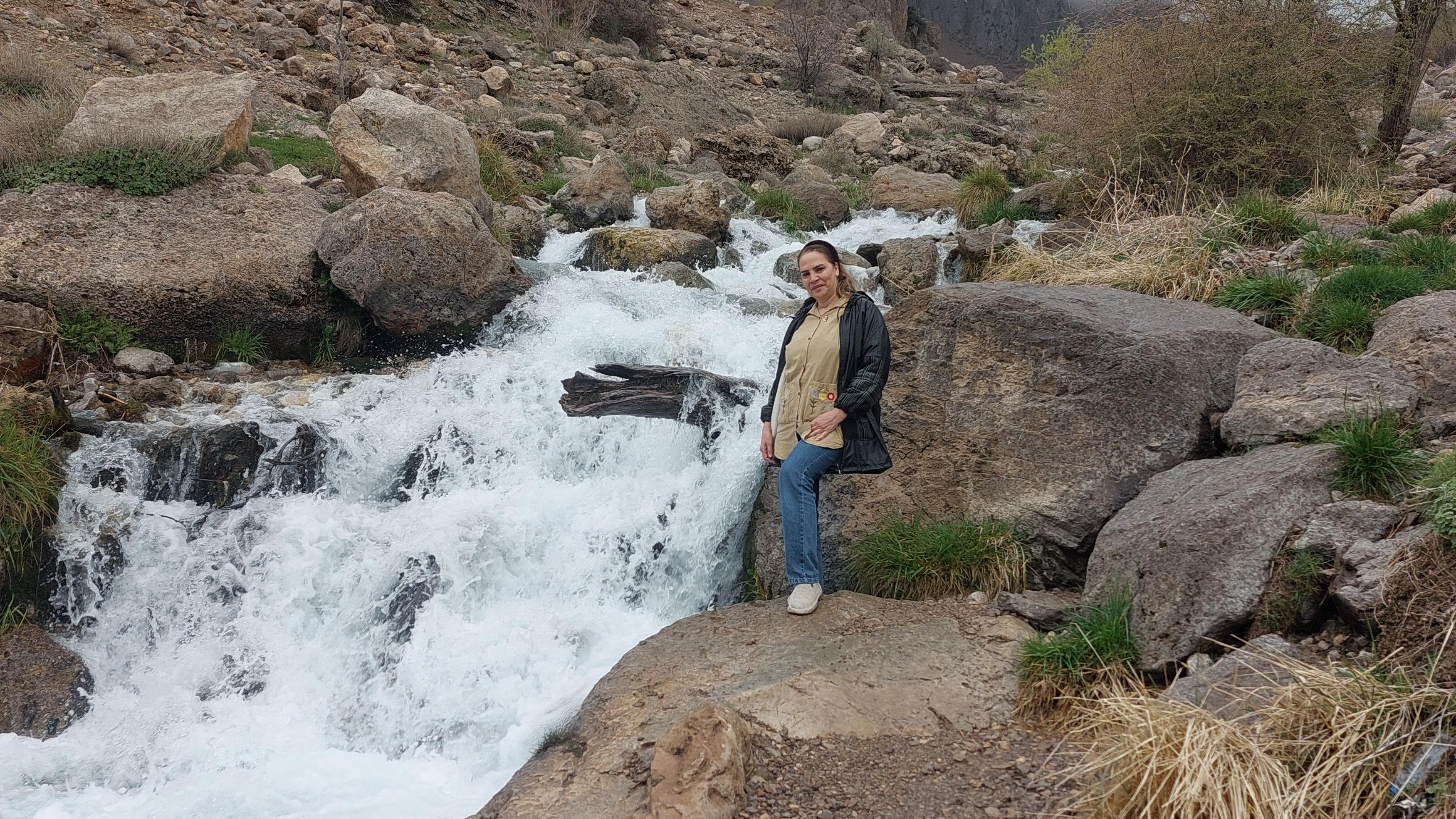 چشمه میشی