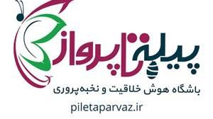 آموزشگاه زبان پیله تا پرواز