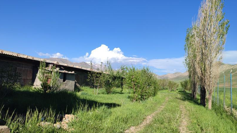 مرغداری رضایی یگانه