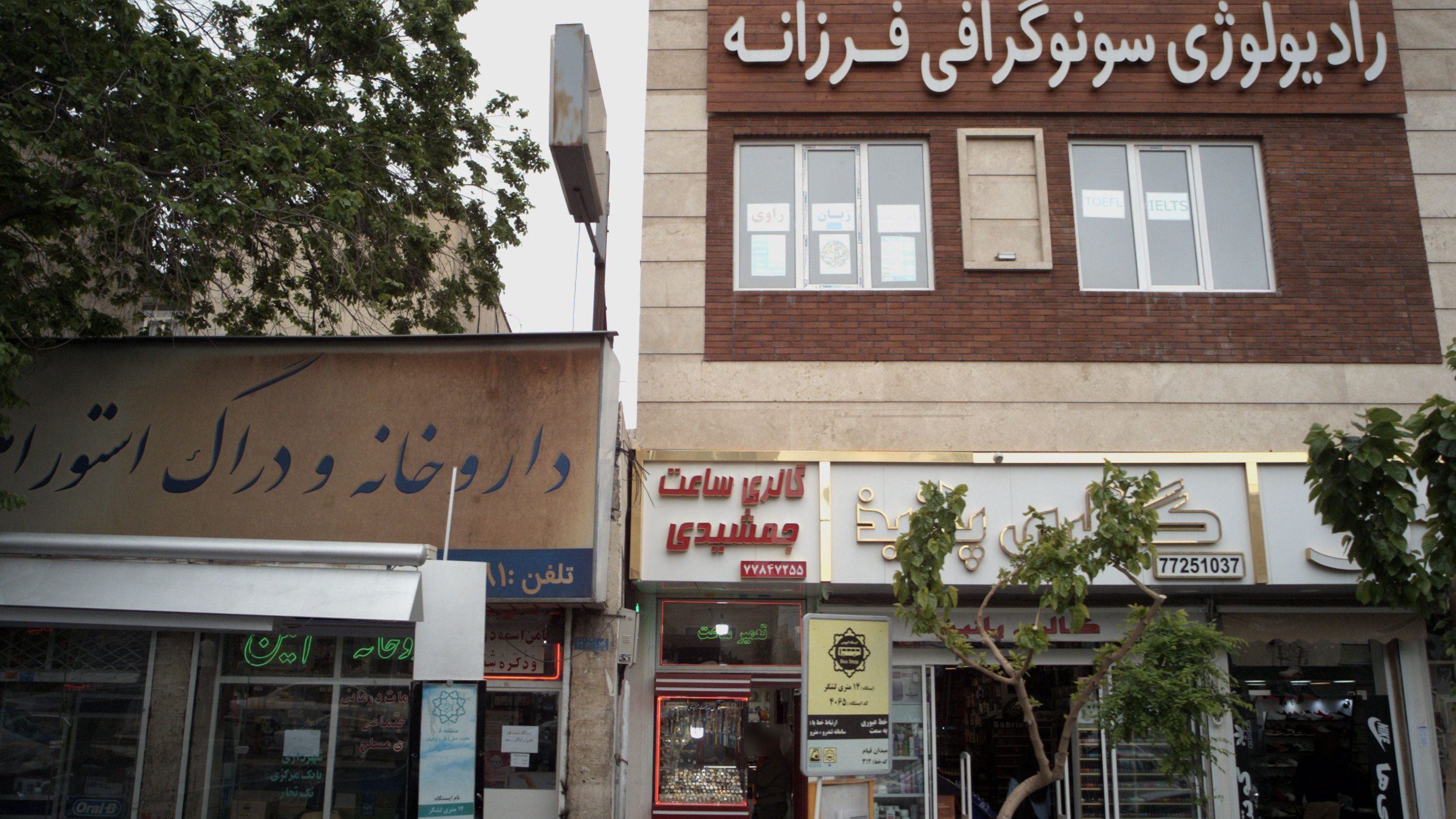 گالری پانیذ
