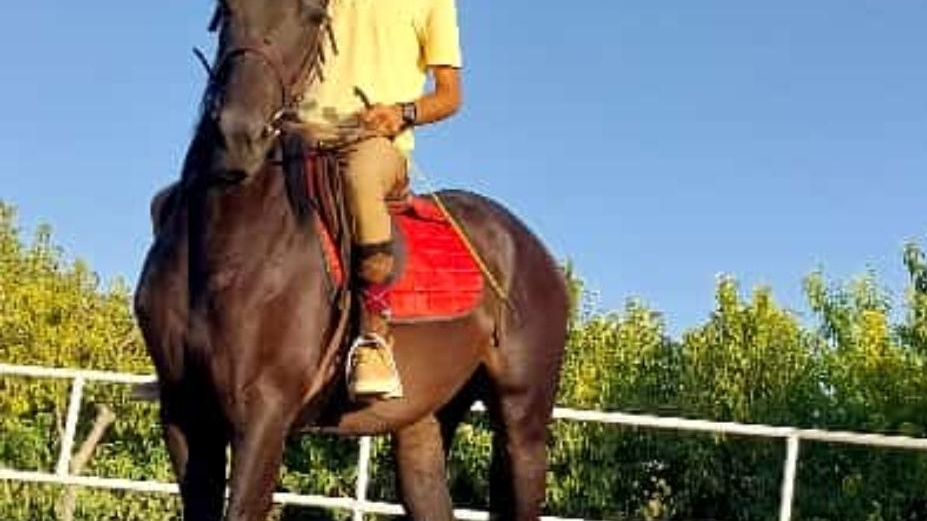 باشگاه سوارکاری دهستانی