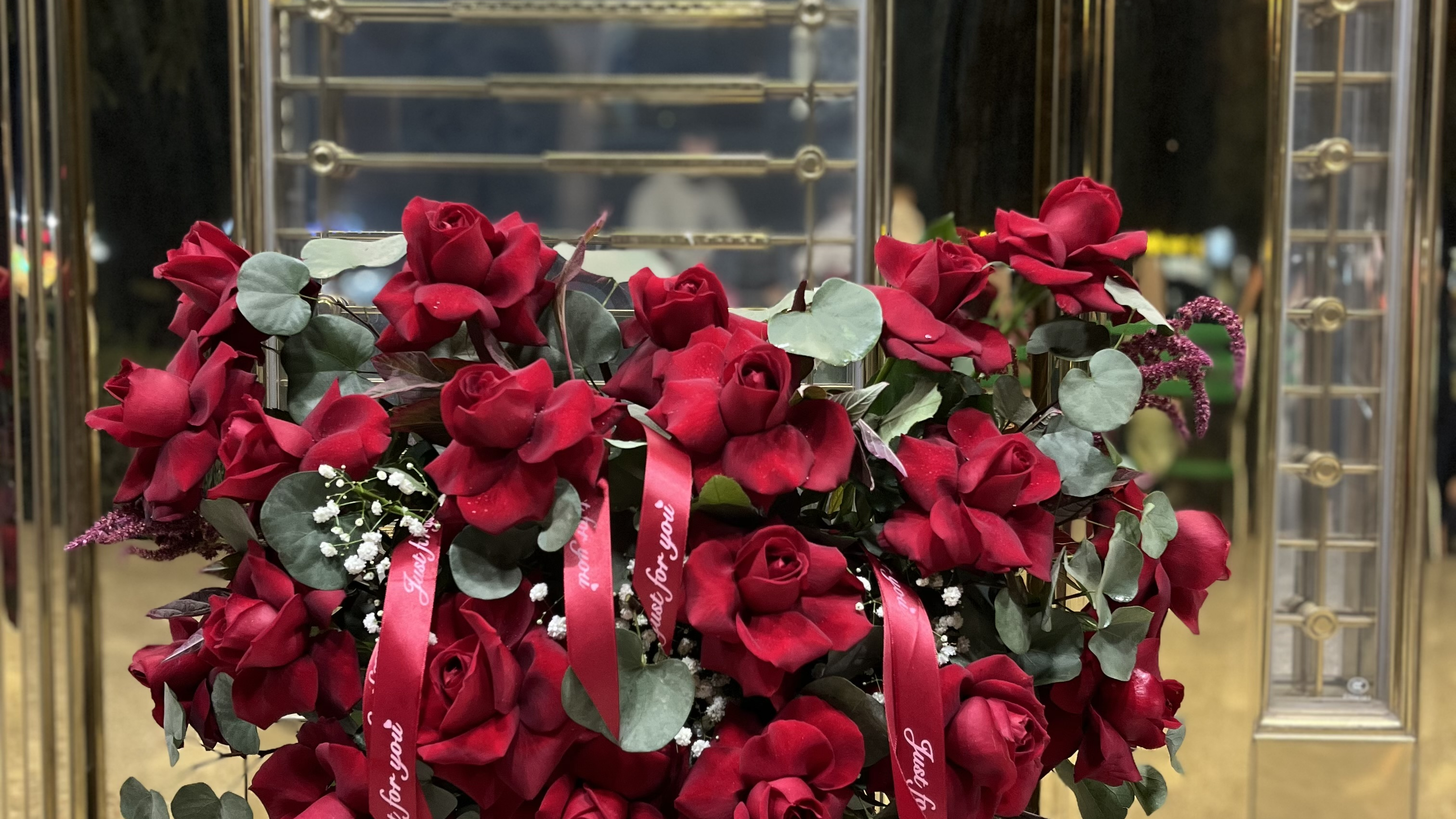 کلینیک زیبایی و جراحی زنان مدنا
