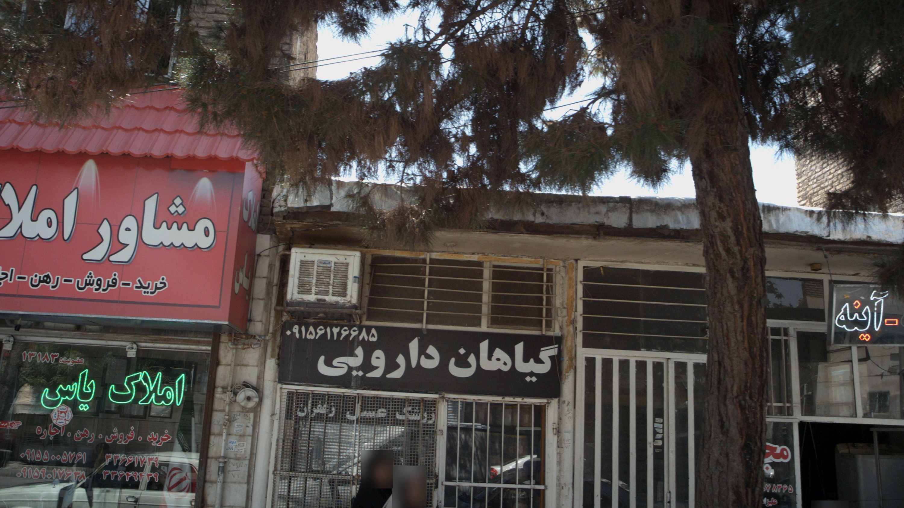 گیاهان دارویی