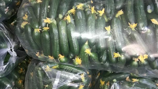 میوه و تره بار ملامحمد