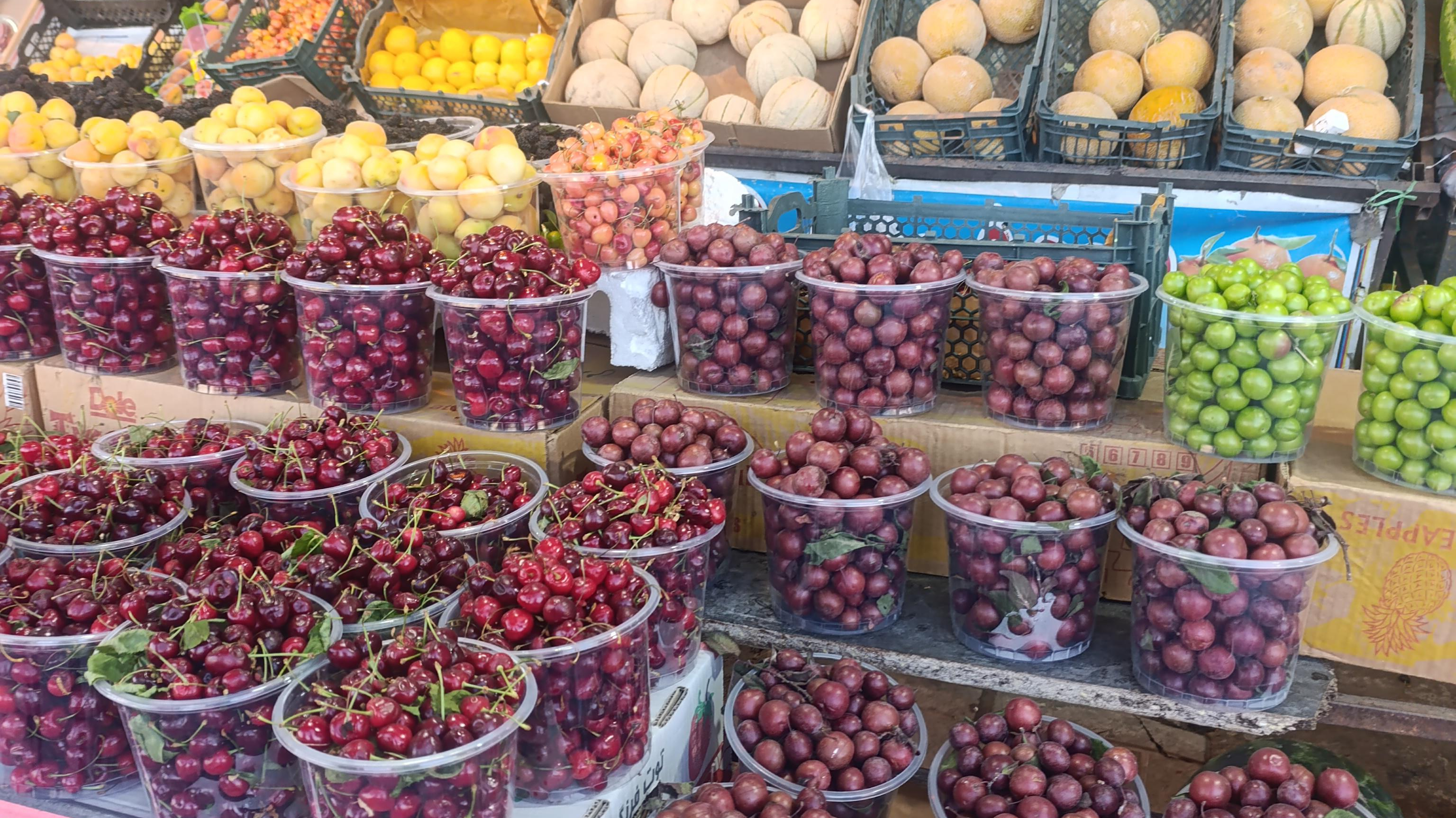 فروشگاه میوه و تره بار ۸