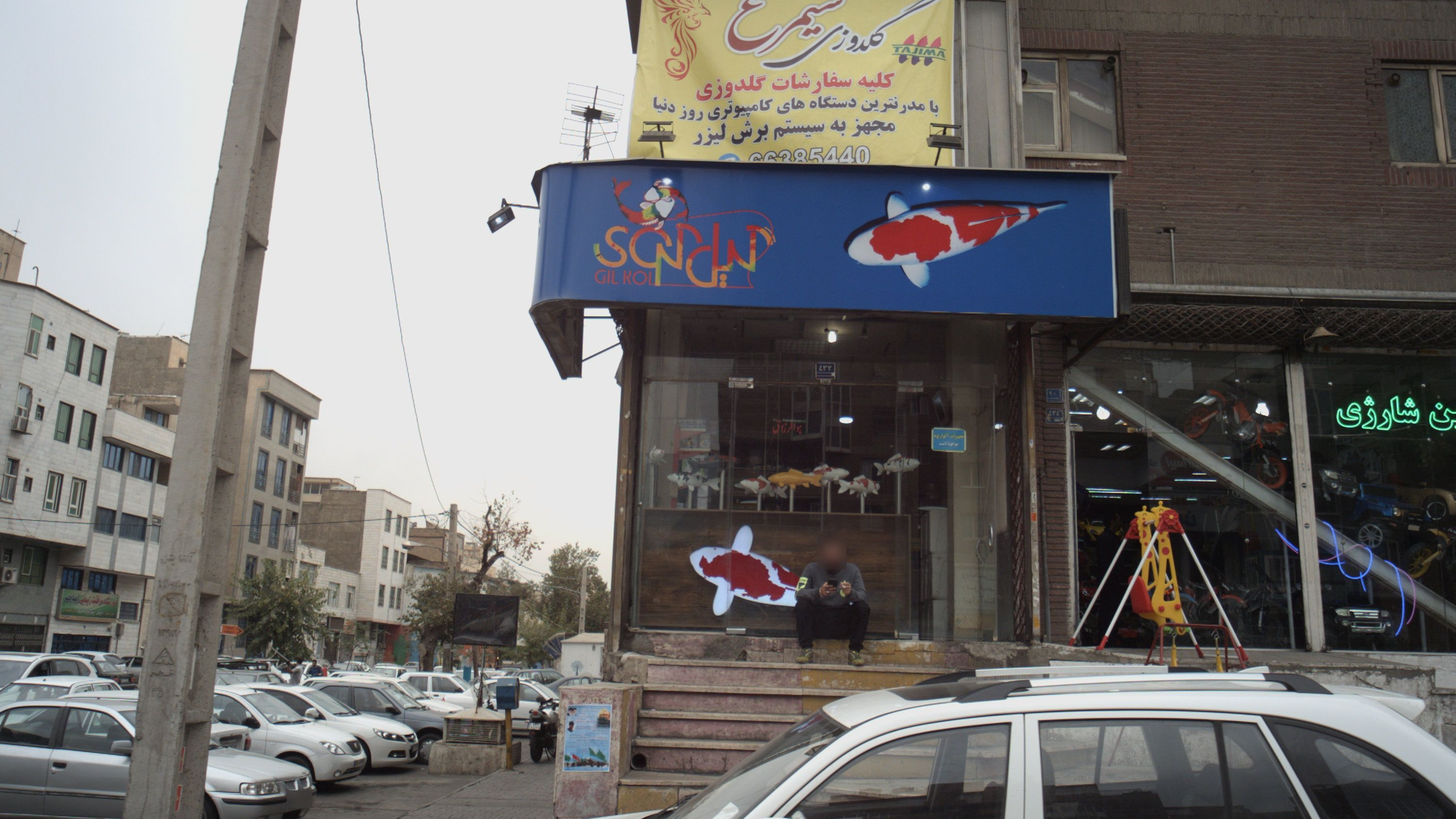 فروشگاه آکواریوم گیل کول