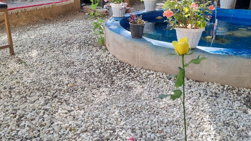 کومه آقا توکا