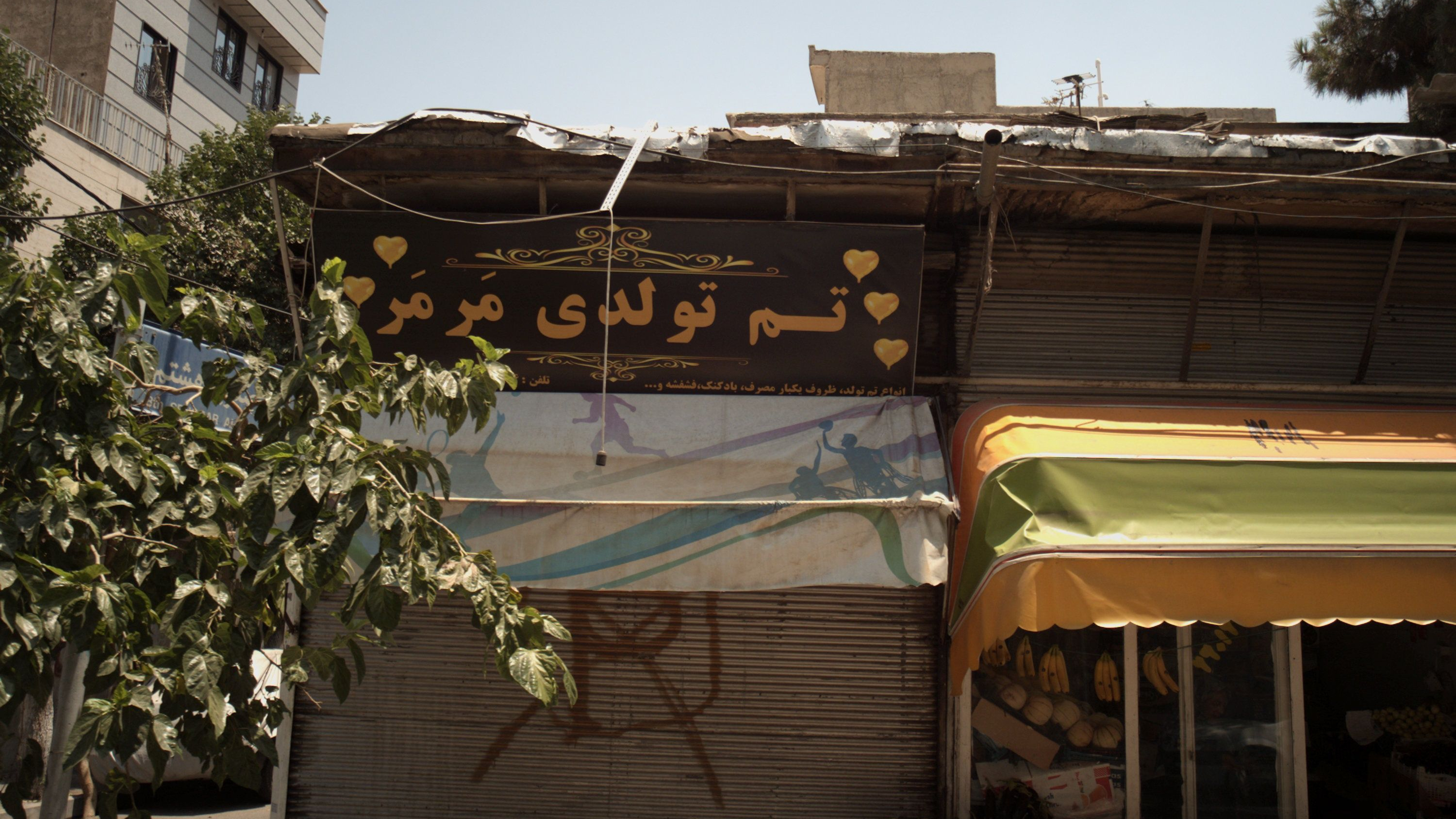 تم تولدی مرمر