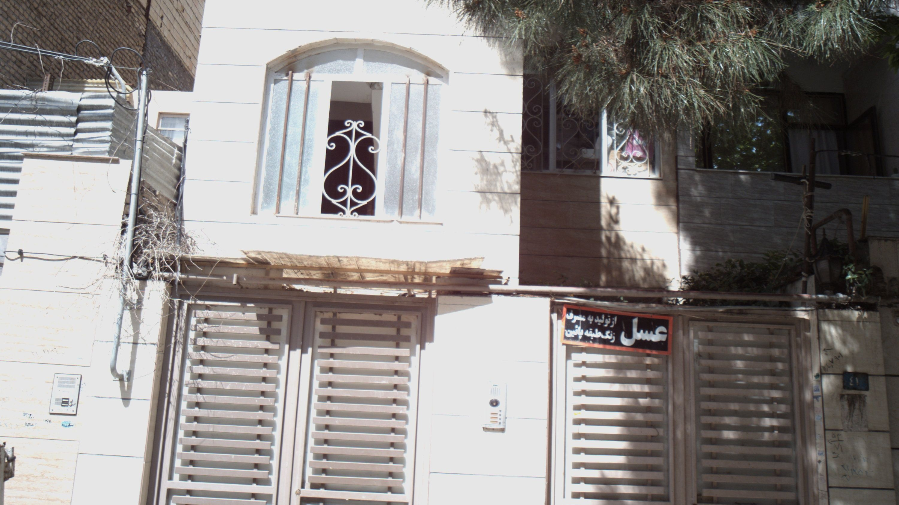 عسل
