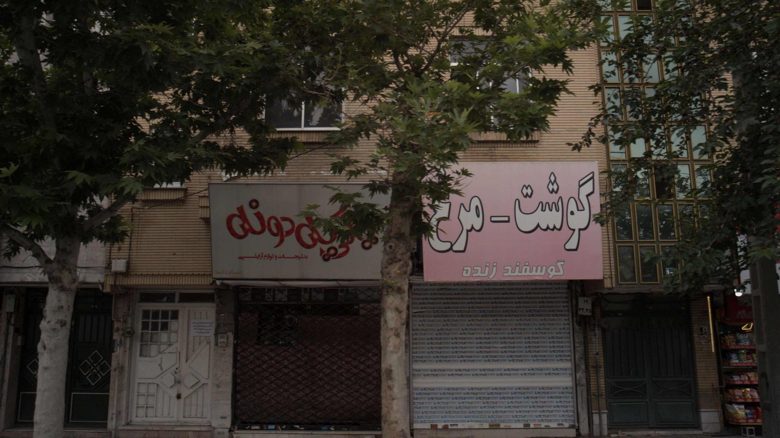 گوشت مرغ