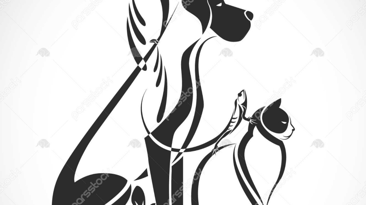 کلینیک دامپزشکی ماوی شیراز