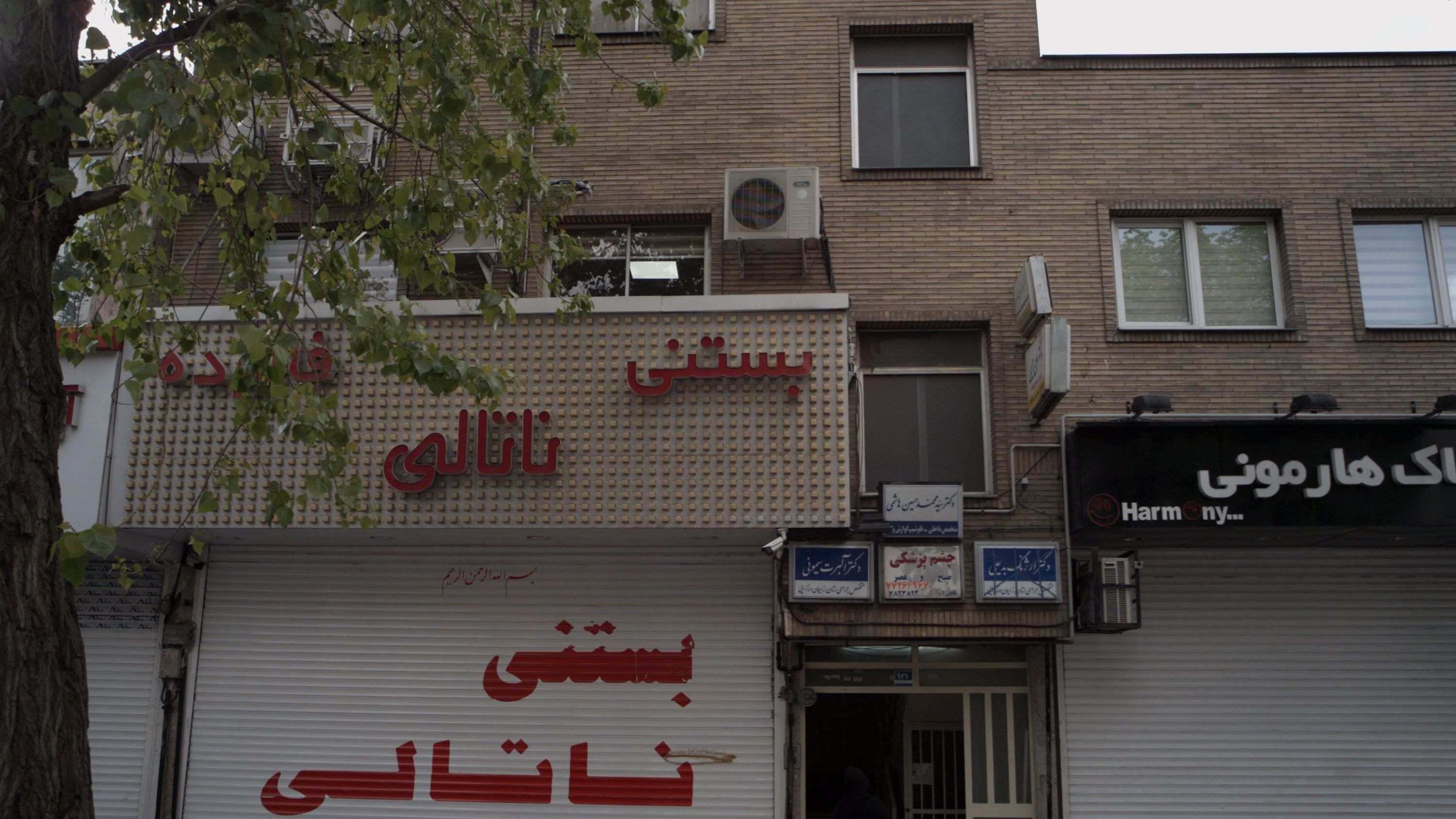 دکتر سید محمد حسین هاشمی