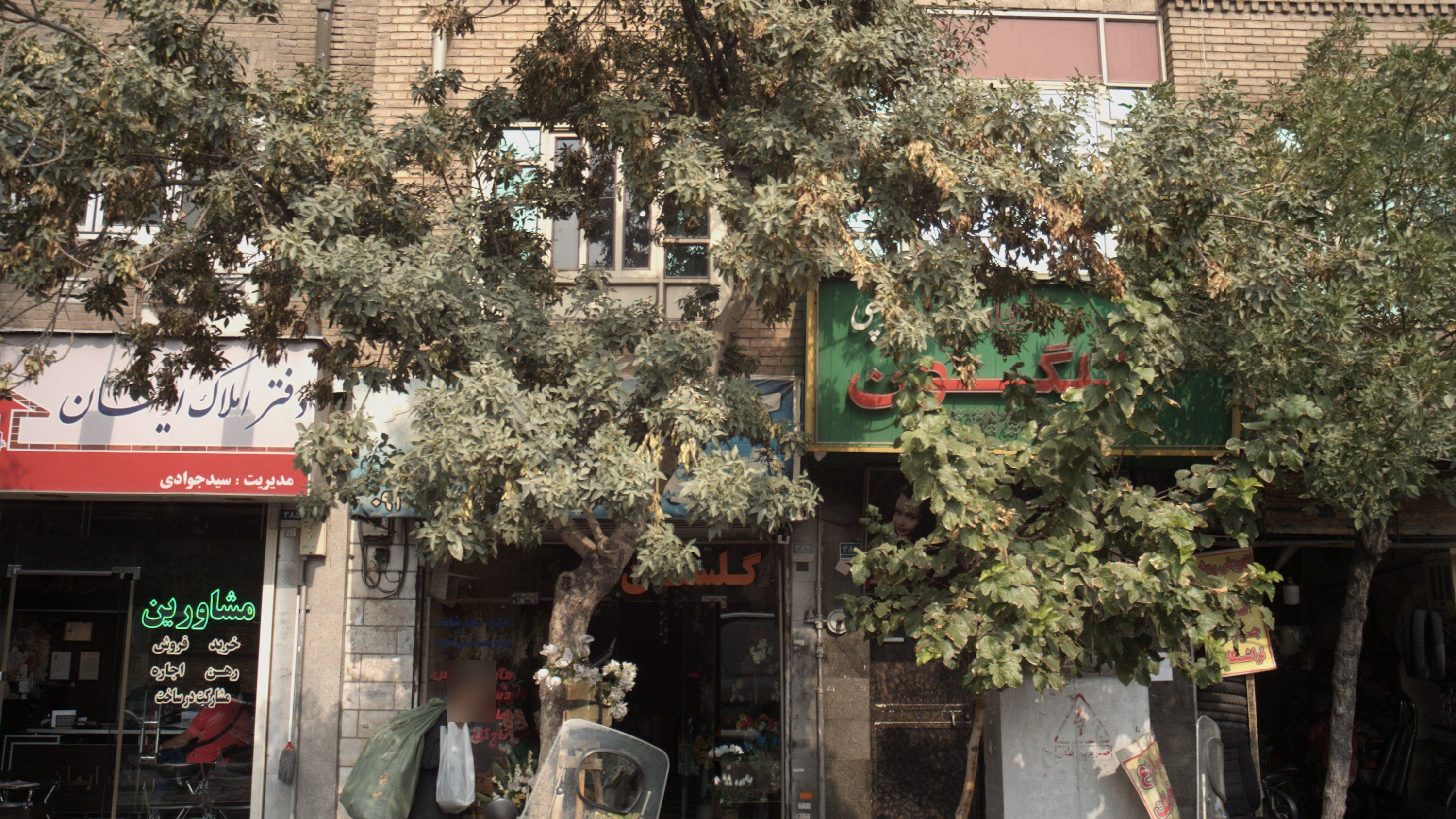 عکاسی نیلگون