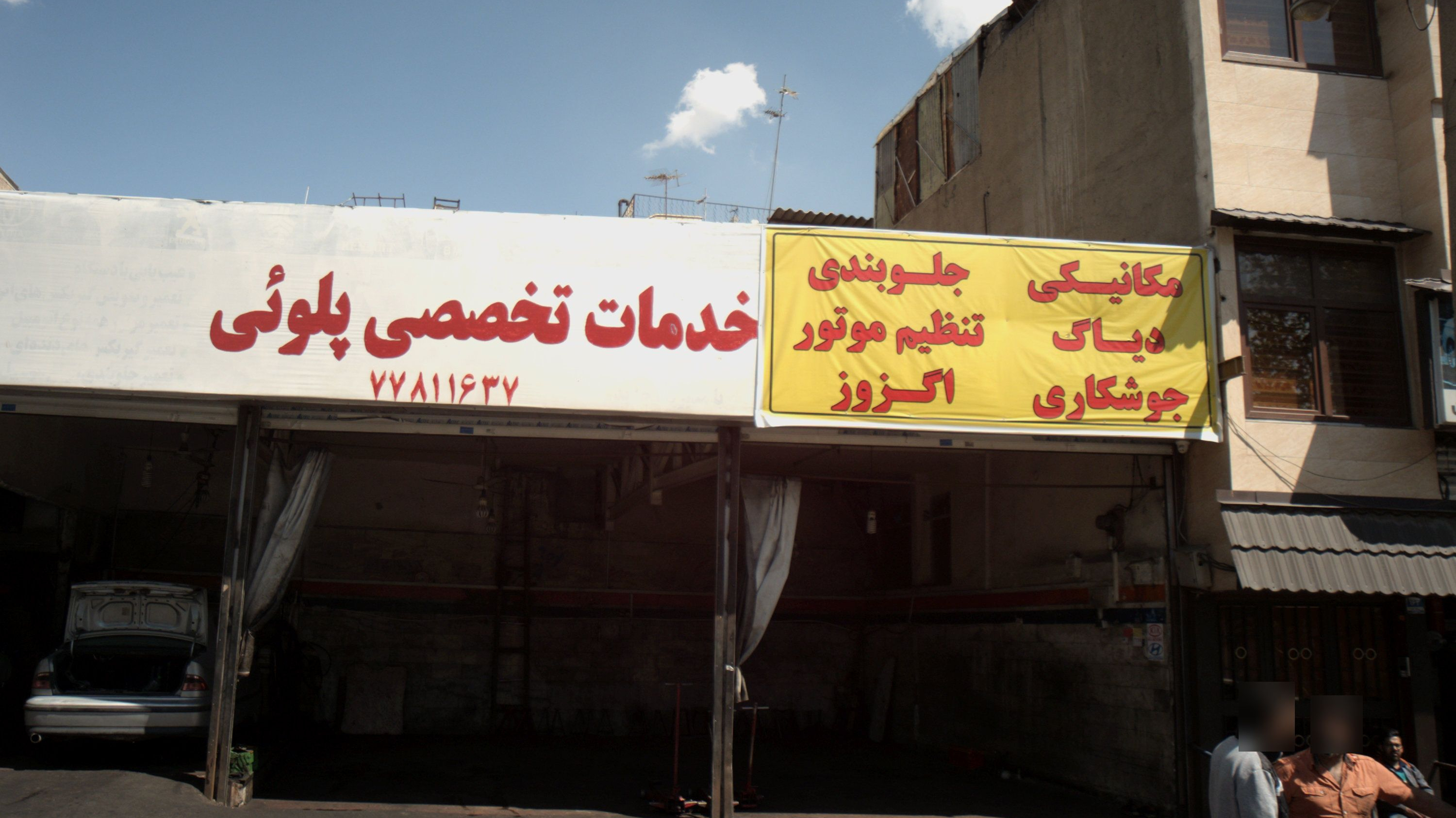 خدمات تخصصی پلوئی