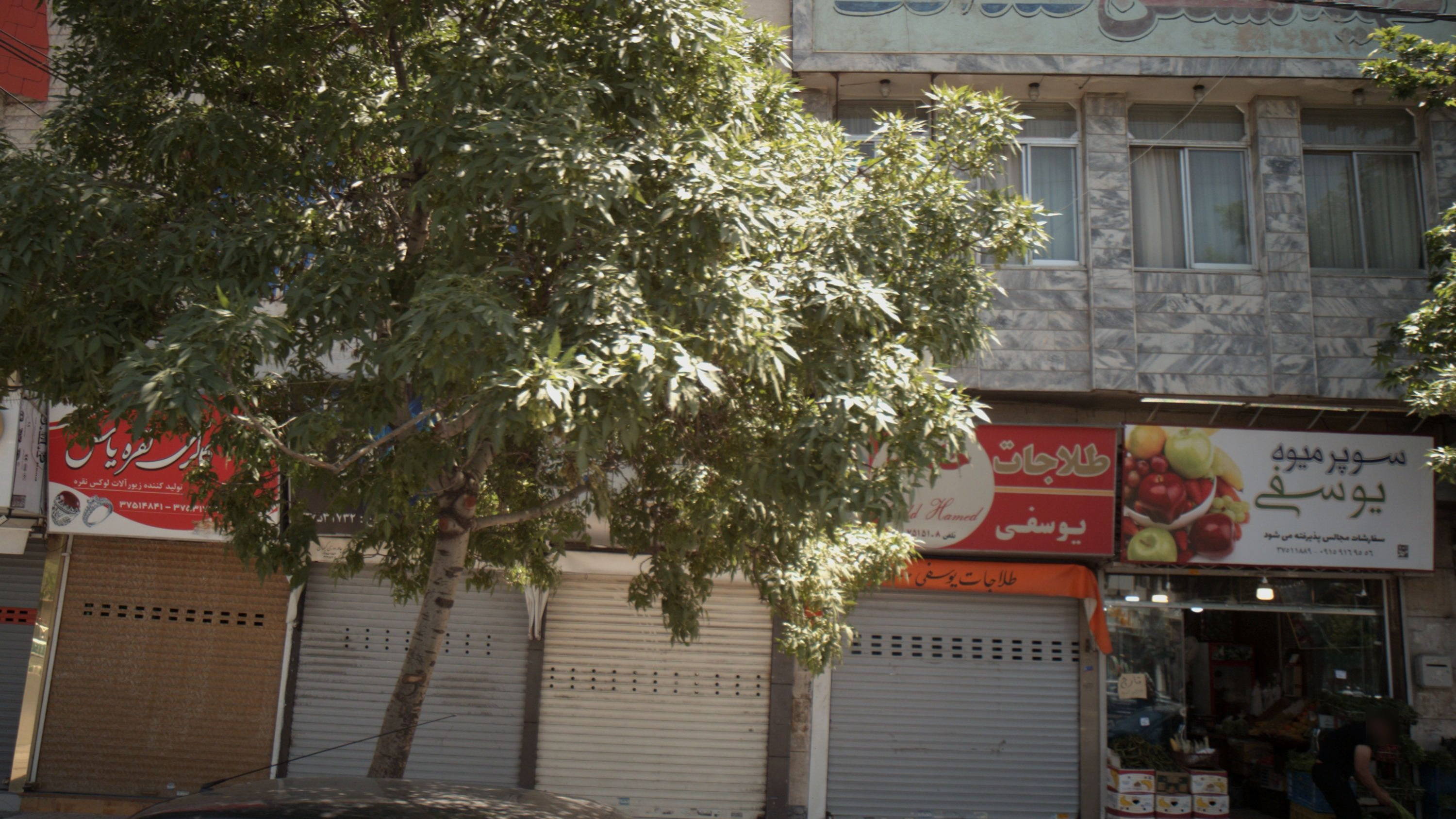 سوپر میوه یوسفی