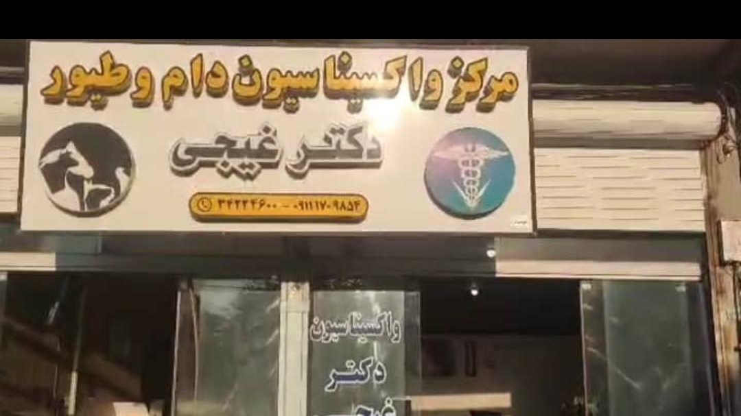 واکسیناسیون دام و طیور دکتر غیجی